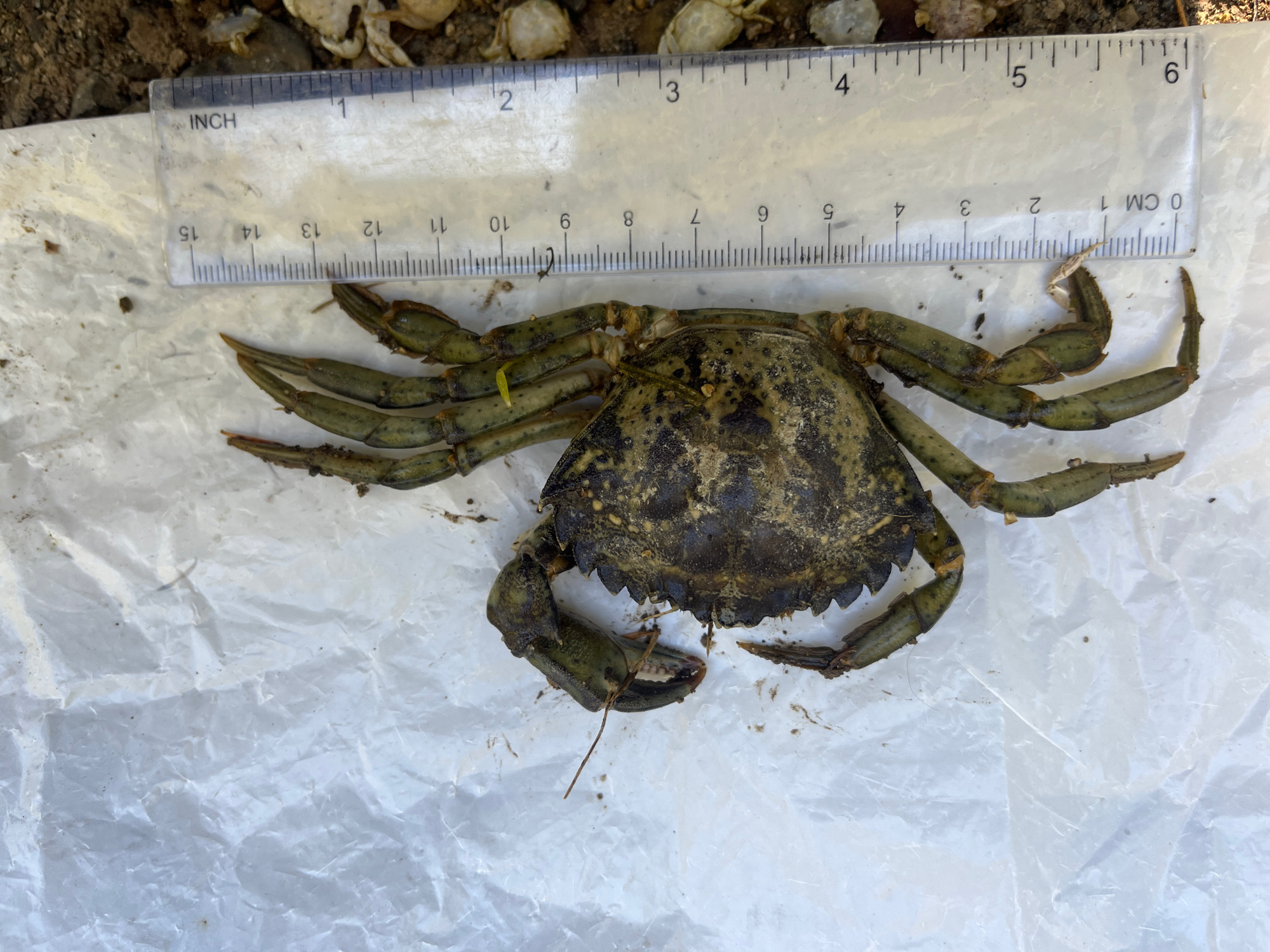 8377ad5baec4e7a7431f92d77ee1219f469256ac