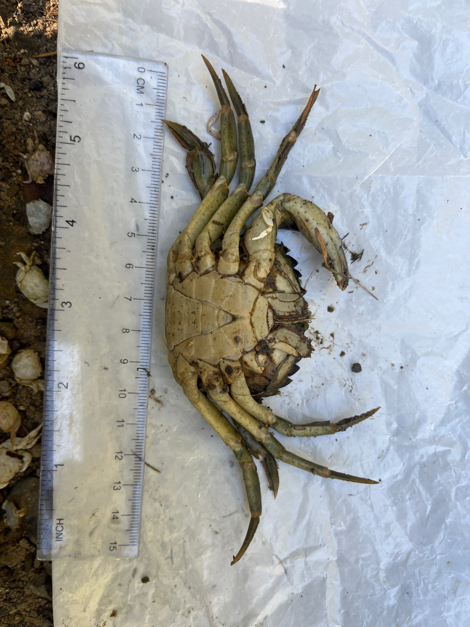 10026414d3ad77a7718e1585aa9fc09c8dec0410