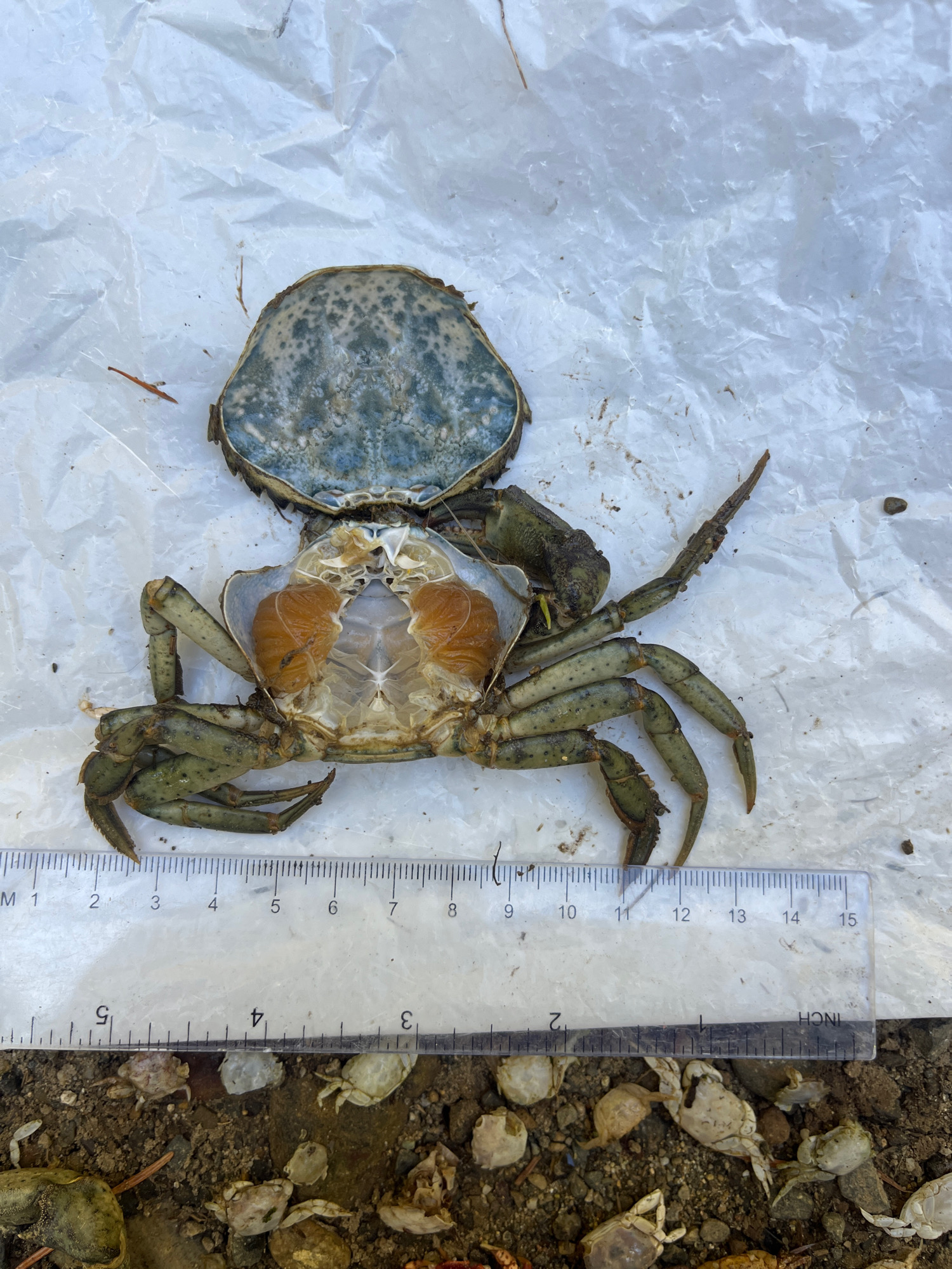 9c2575d2e4d85943354b1bc6d2144db4c465611f