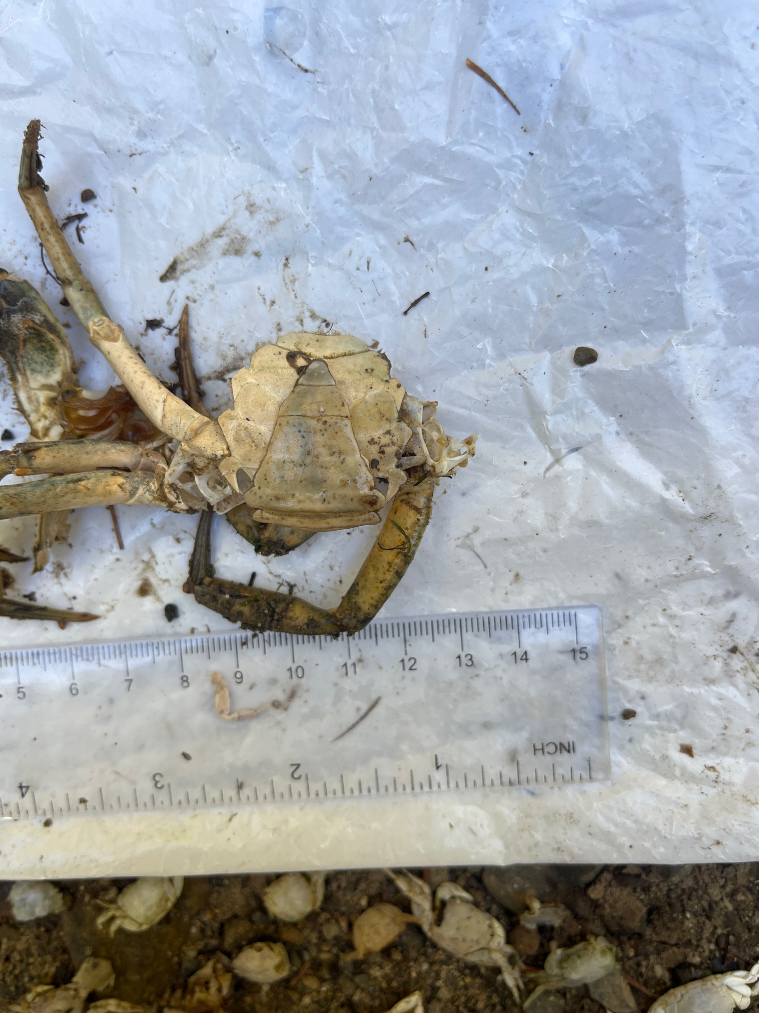 c4fac0e7b8ece7e92dea9072d70a81393be47719