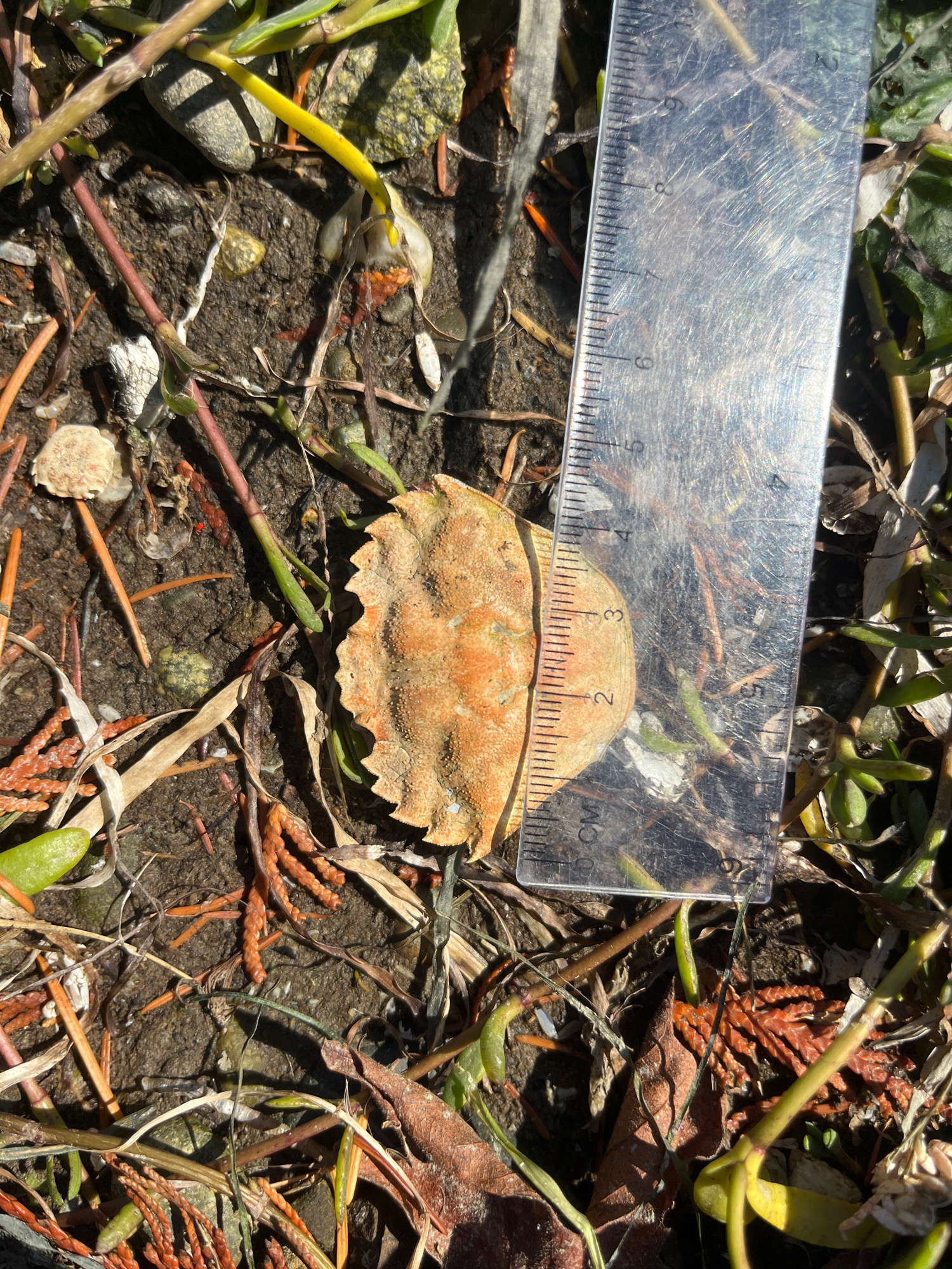 146051d5684ad738913662b1ef7b566bd10e7f60