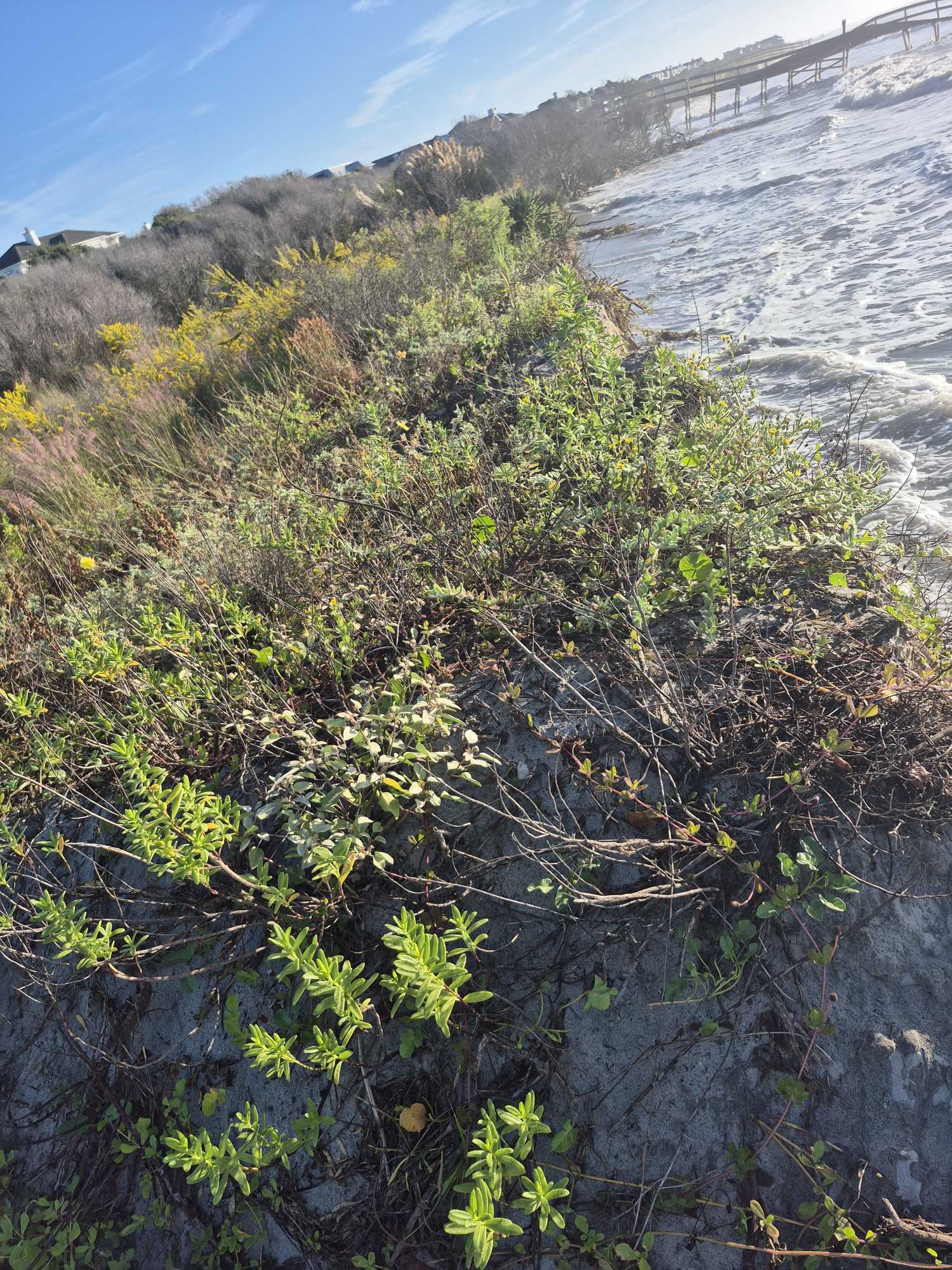 d149e84b34db2751b010c22213188c7a7afe1cc6