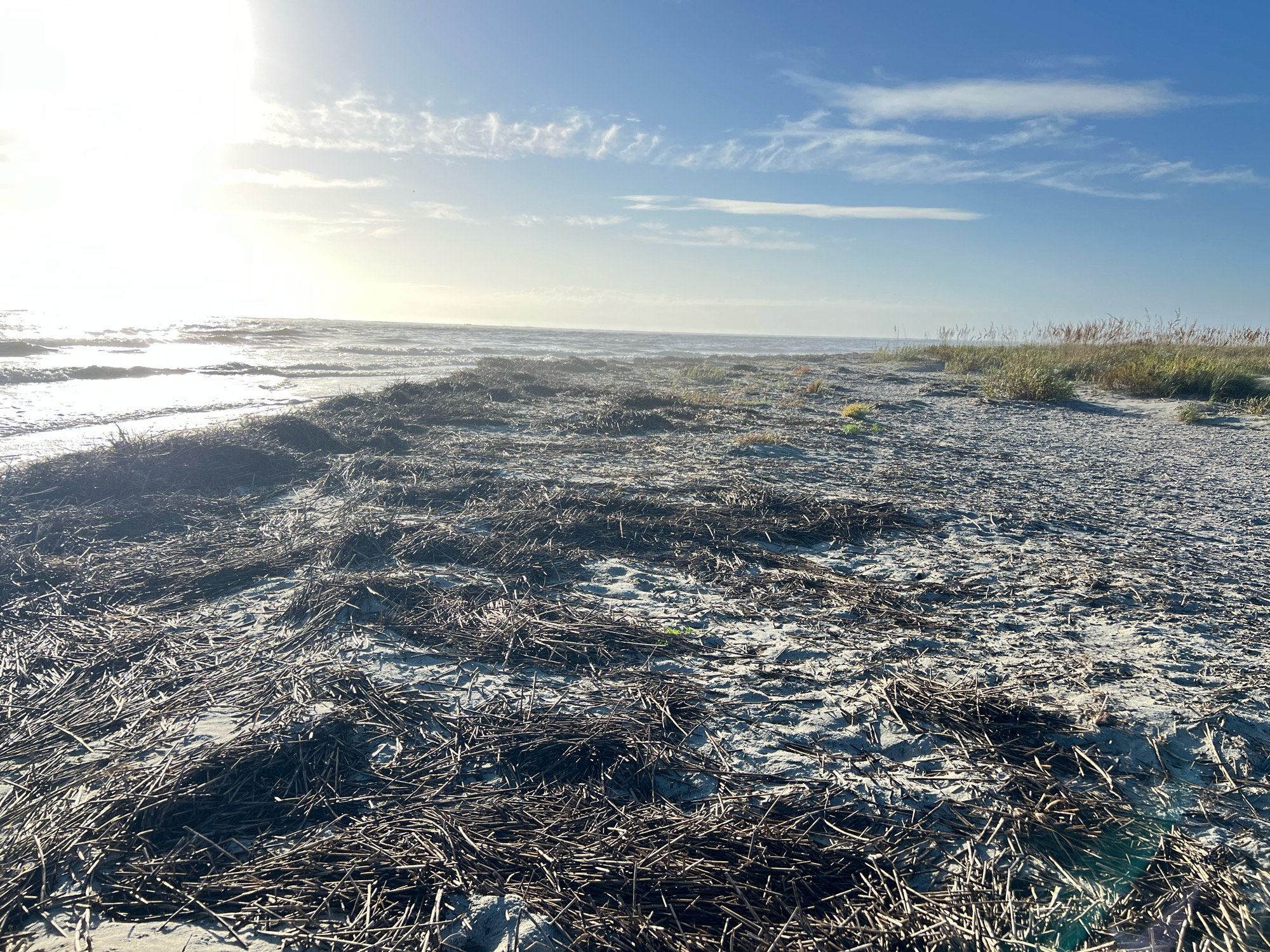 e4d6d9d39ac3d7c3856c660d325f3d5c08b9efa1