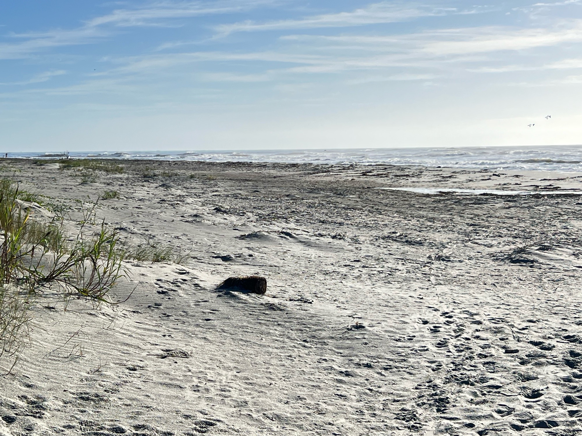 cb86ee66350782481557f085d96ceb48333767b3