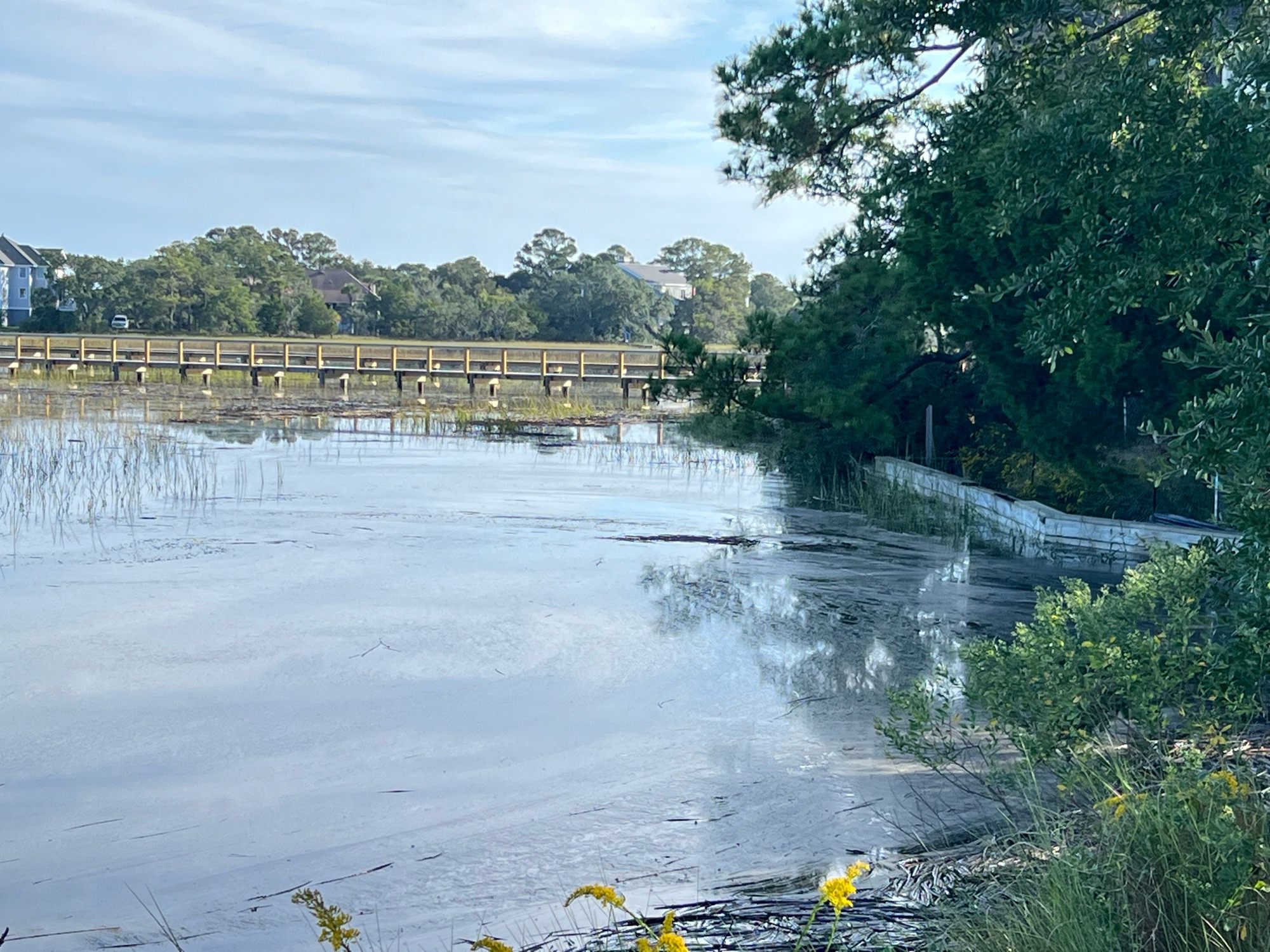 4c492f6aafa84d368201ad3aafbddf9d9ddd5f78