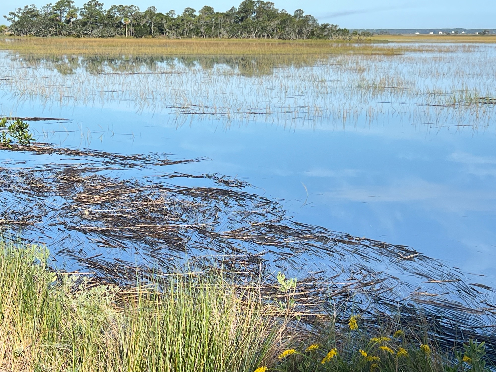 6c849e38080765d91d5ff8f5348db0ae7cd10227