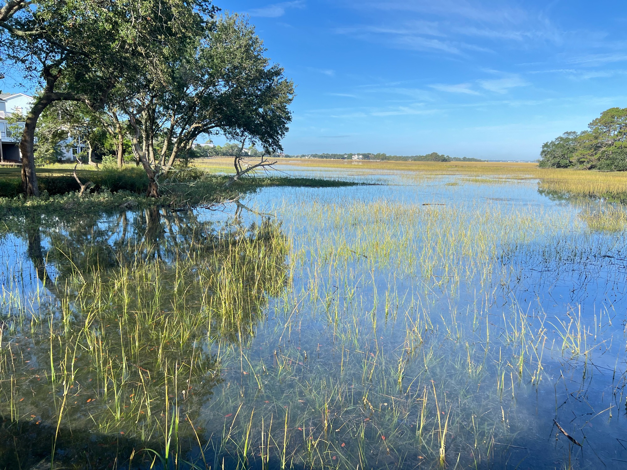 f1cbed67cb6570538de90bf6c808b970feb85d95