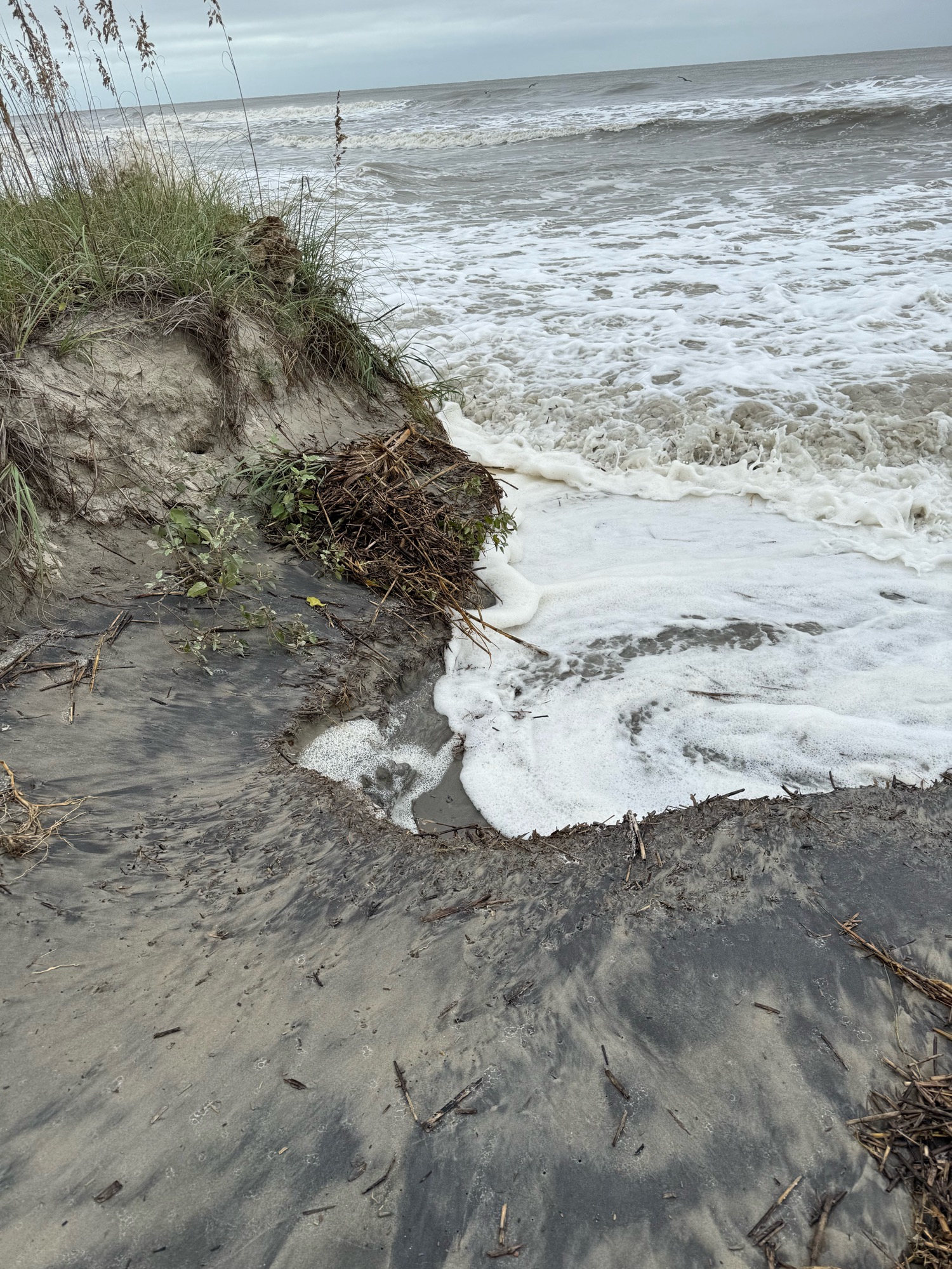 8002010c00e7639eb008b79b73f025c37b14ca7e