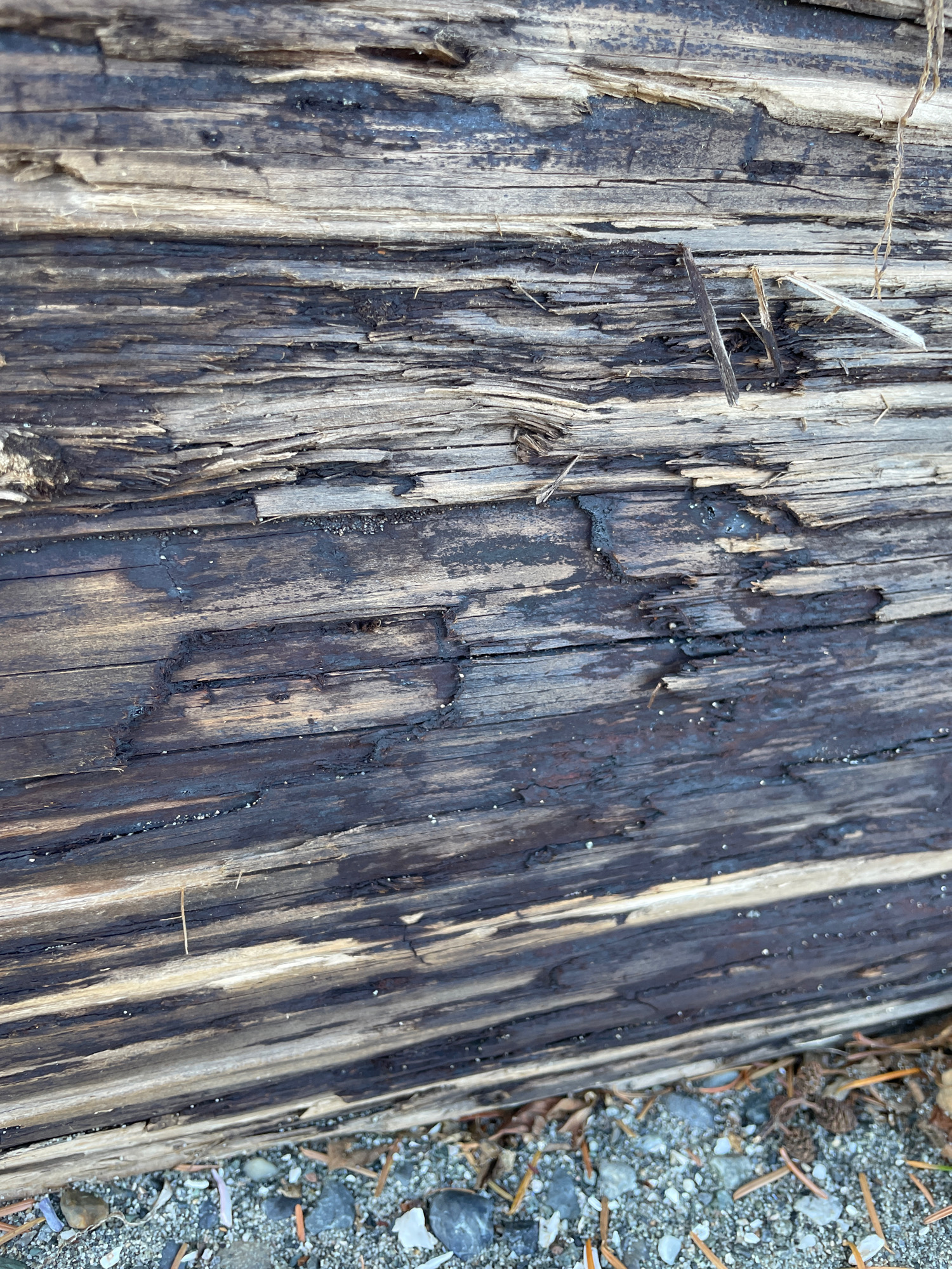 20382b46b81df1ba97934ac757eb03b3fc28804c