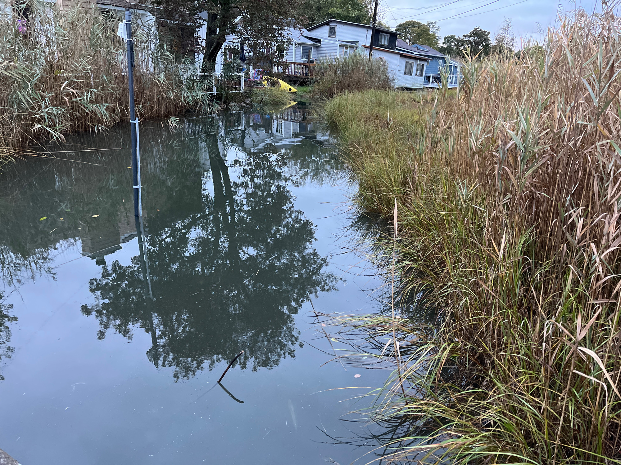 095d75aae511c4ce33312bfa157b73b80cf85a70