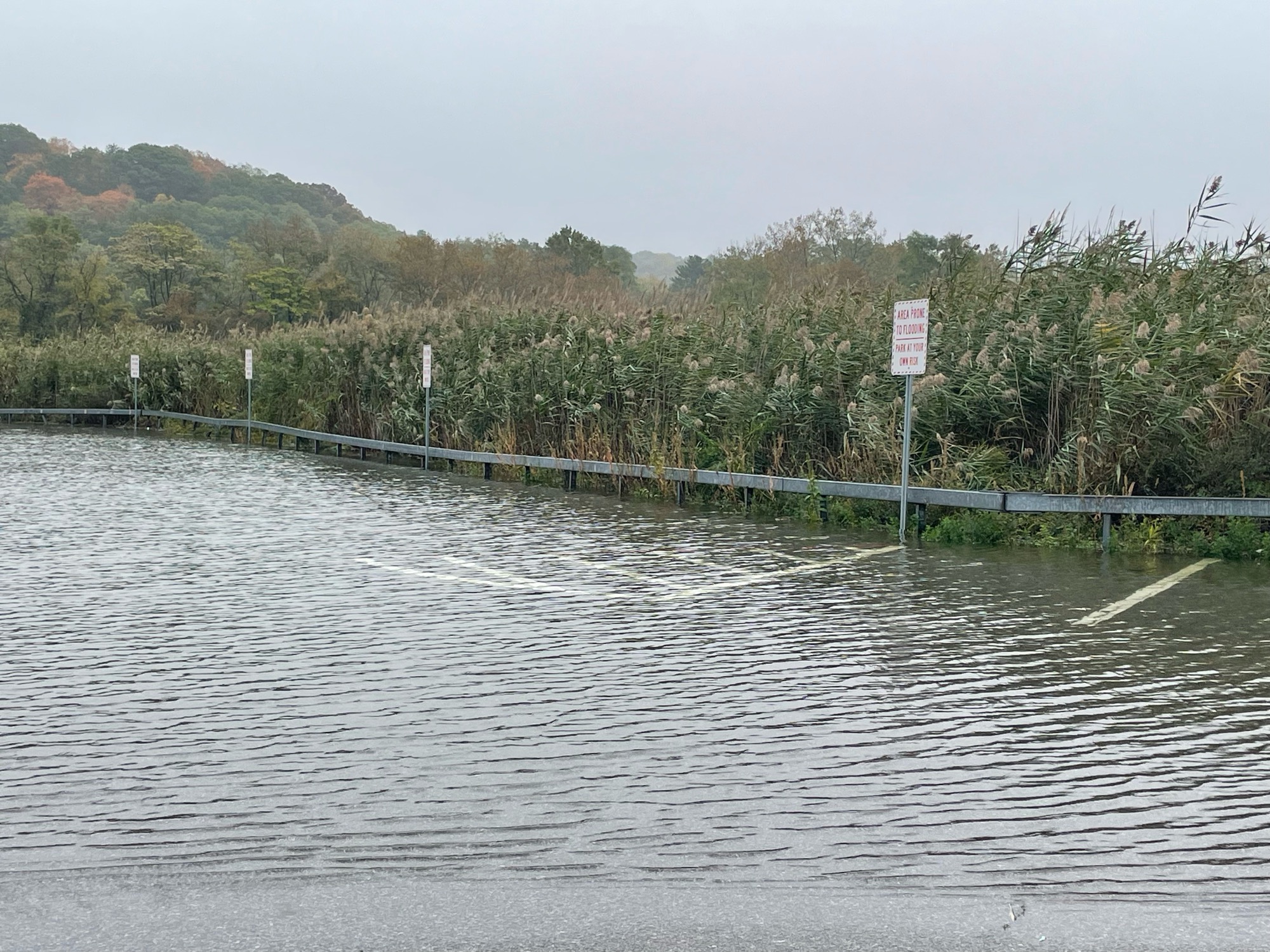 55580b9592930b72388b94934851128f7188683b