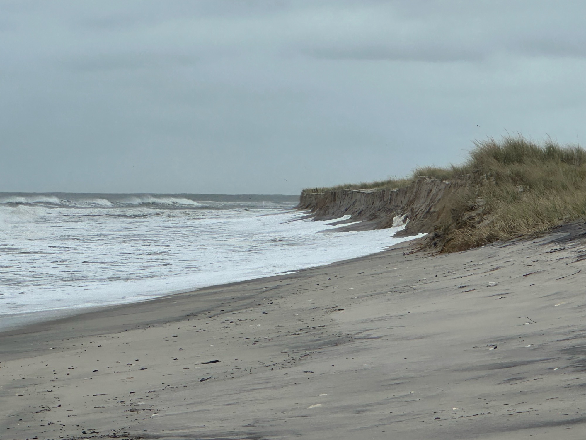 08ec6f318dd6f0e317fb12ef6abe54493af0e41c