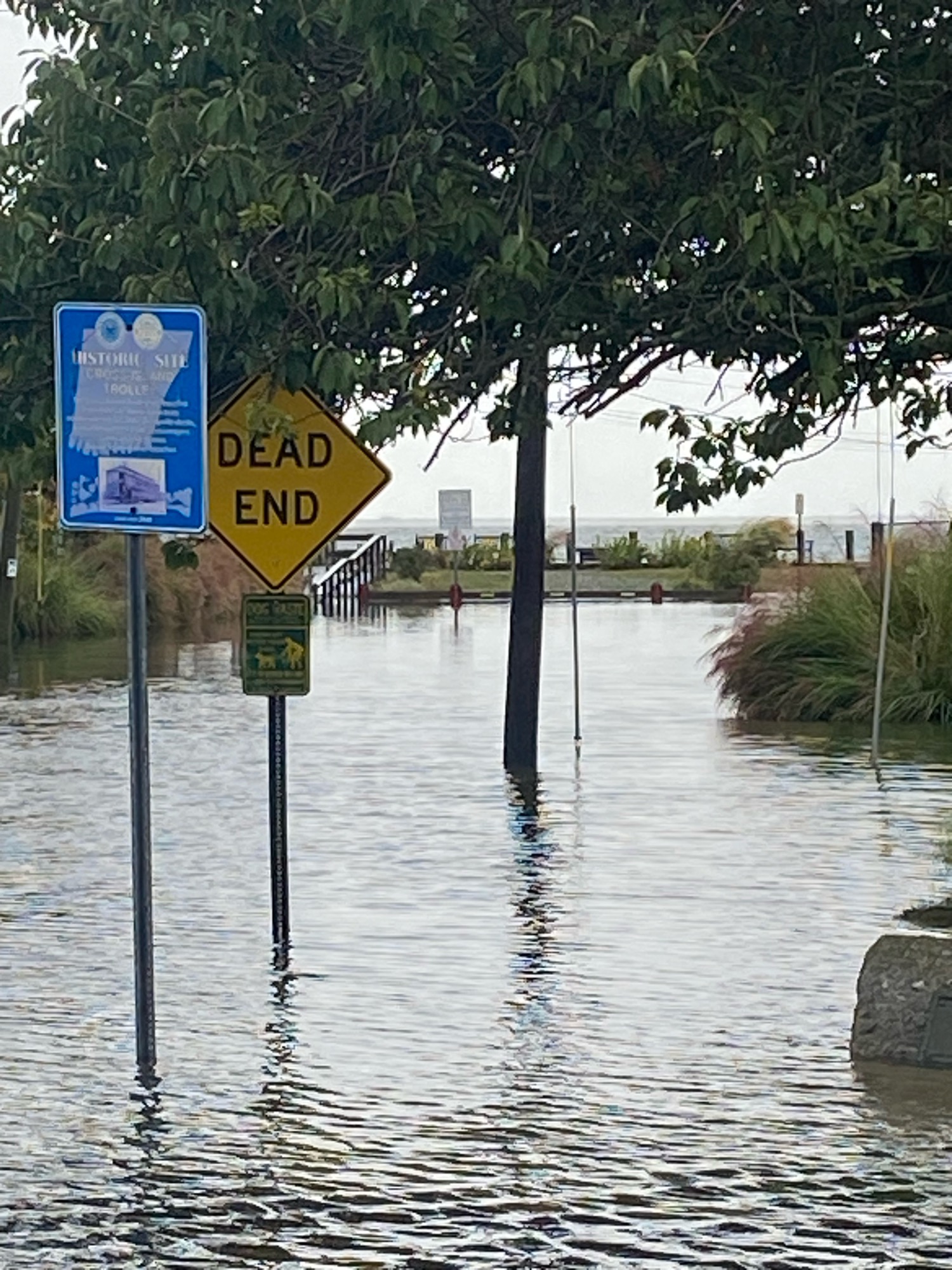 c9607ceaaf1161f03636ee78c87a465e95e96bd3