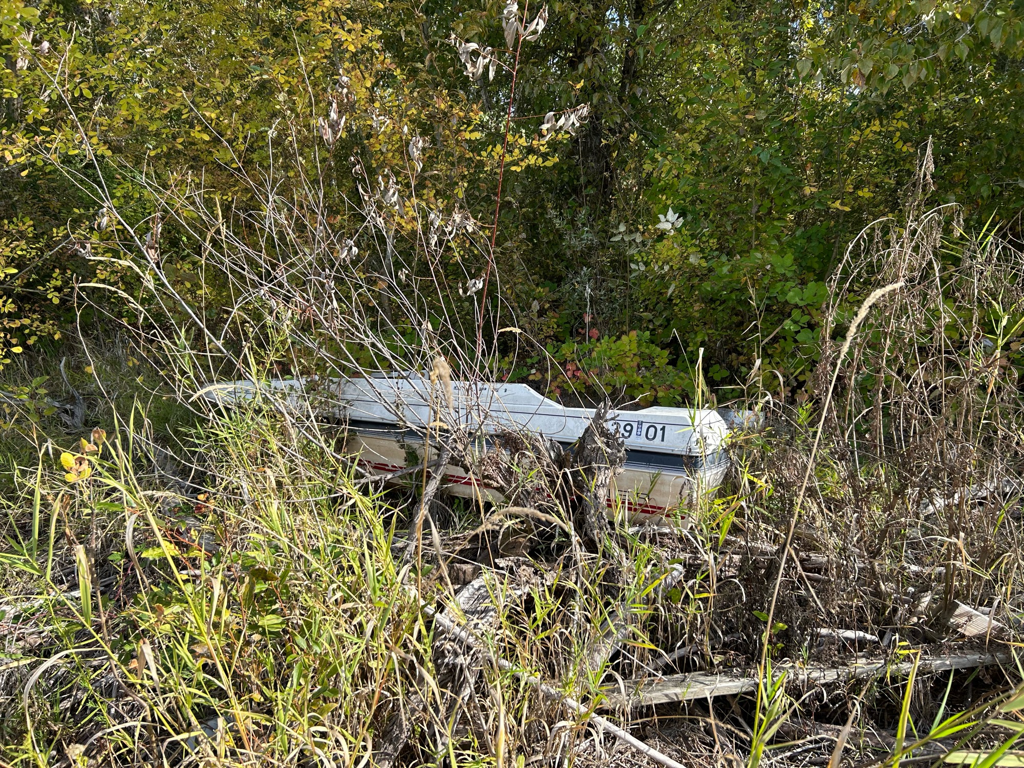 007e231fbc3b61b05dc762974b461d44ed89d524