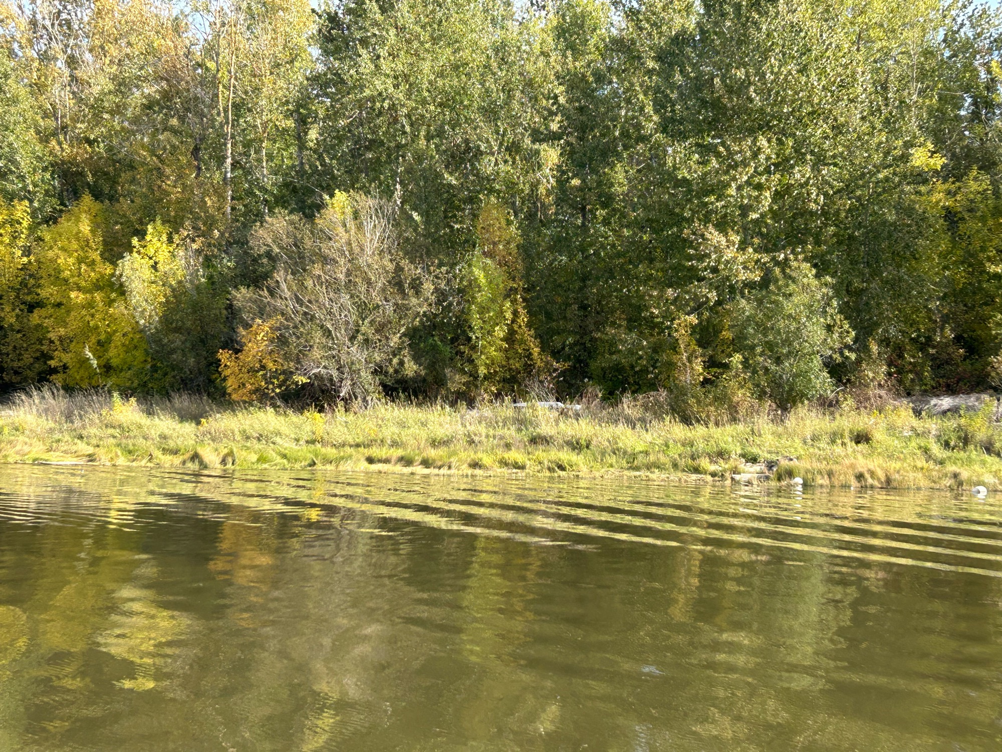 96f2bf05323d67683f14ed30a0f6f2831f652cc3