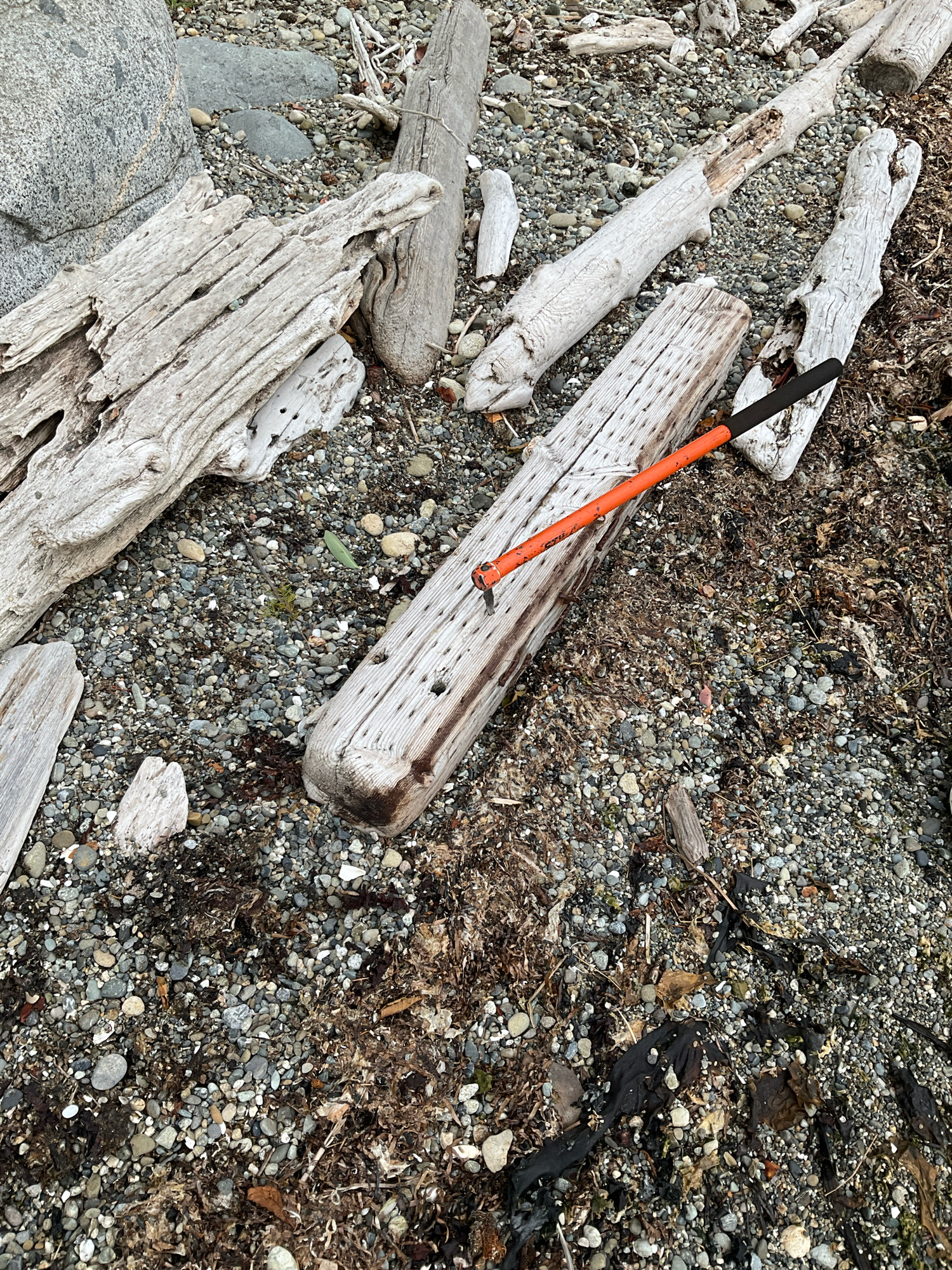 232a8141950f166372d2ceb2dfe527833dfea976