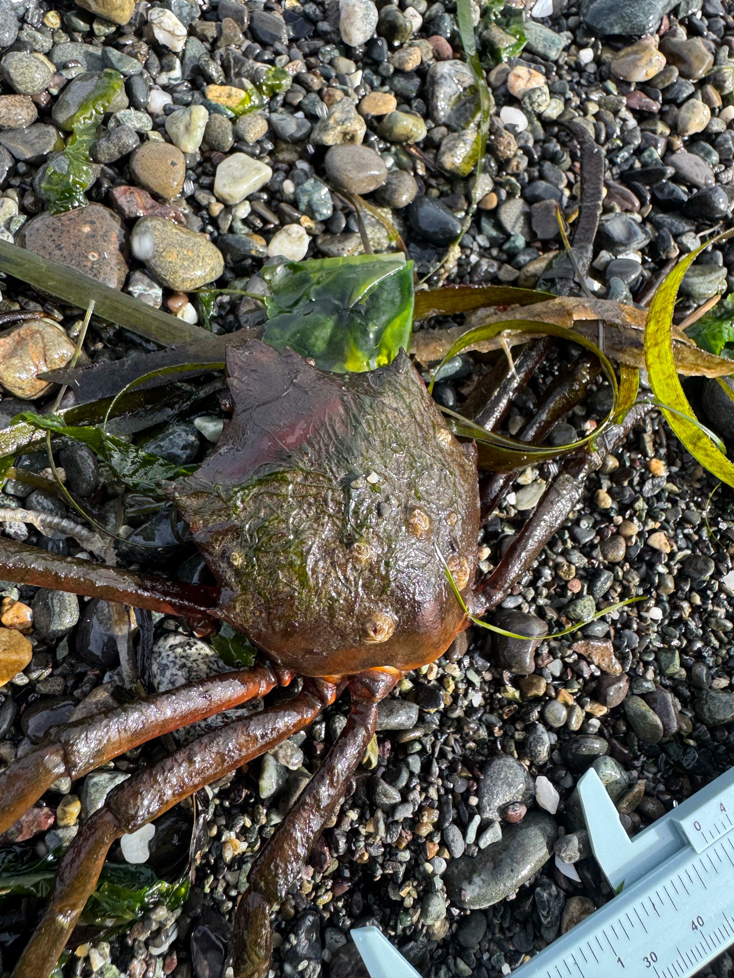 ad0381aad7feaf1d7f16c9fb4b1082cacbd85d12