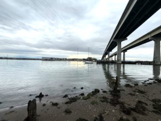 42fc483e32484ae06151f62c734fe72e1