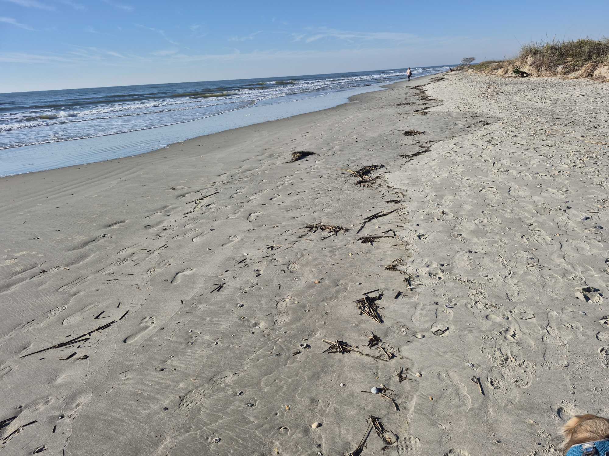 619af95f6f55e7d67d3142e310b8ff29f61cca63