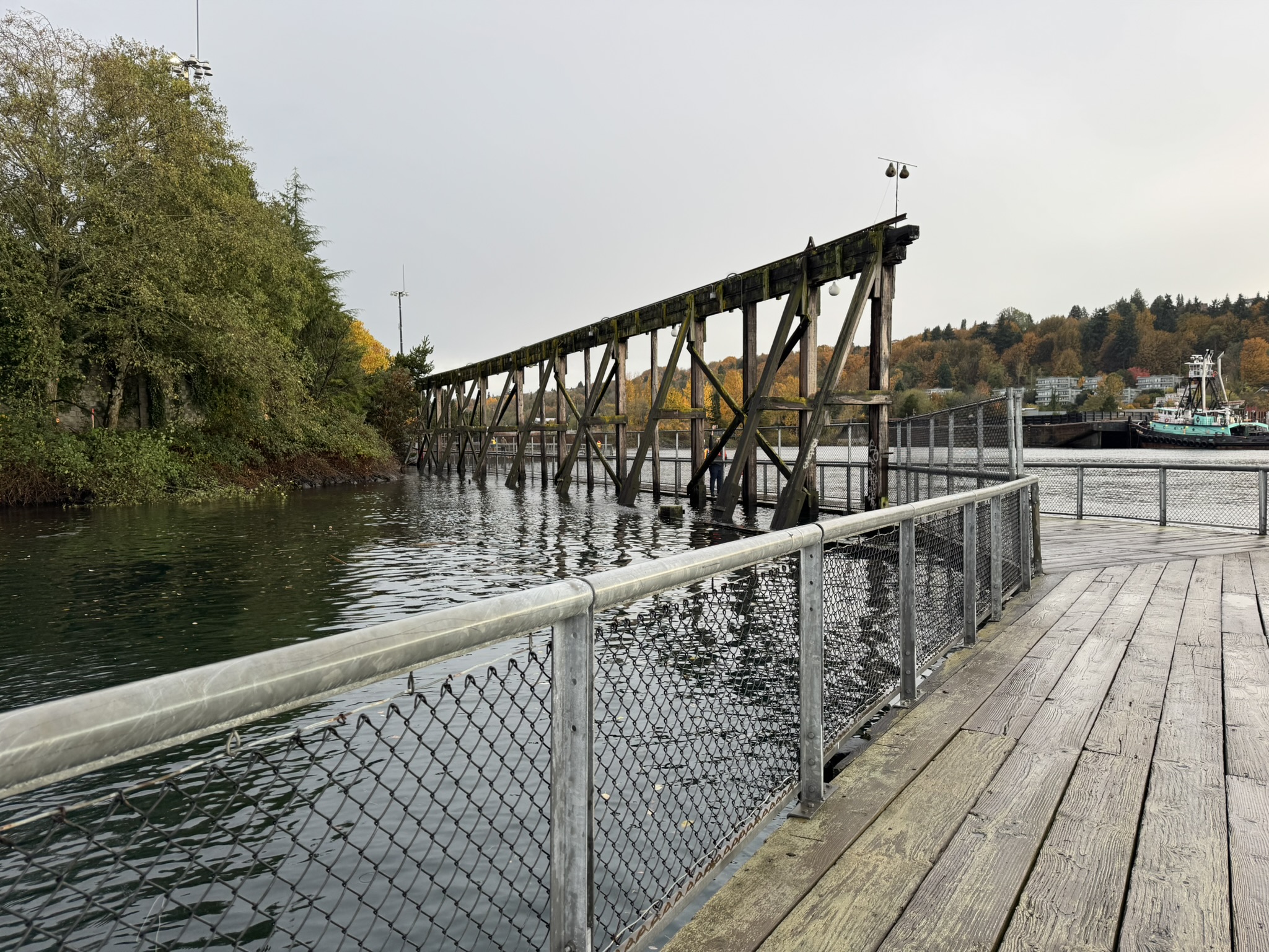 87c54c4c71f0c028d945901ff66a53c61