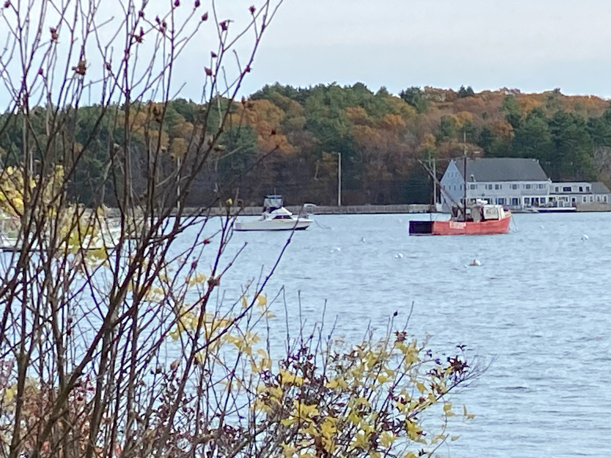 ce9ee5f7e5ca9ea951832e44d204114344e8b0cf