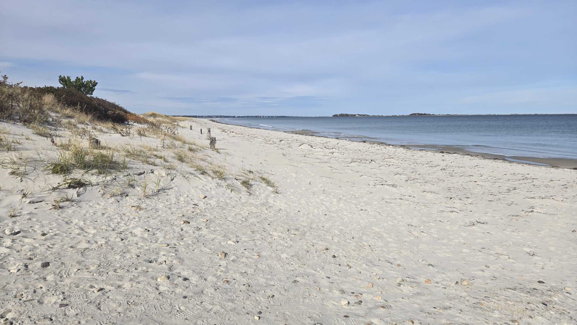 8b73130ebec0443b671dcd99f09d51863eaa80a9