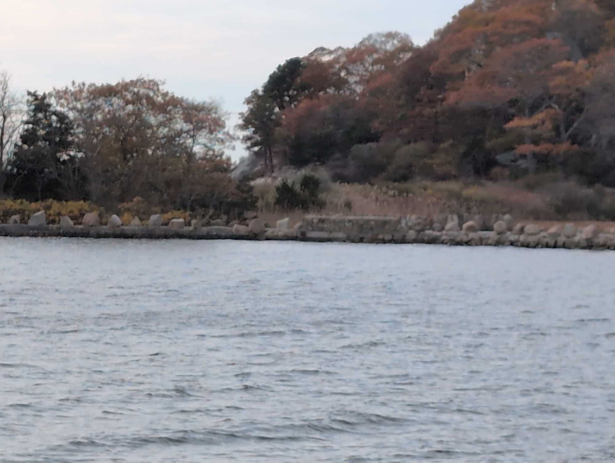 1398fd80f8811bfd72bc5437688a39dd20d5ff27