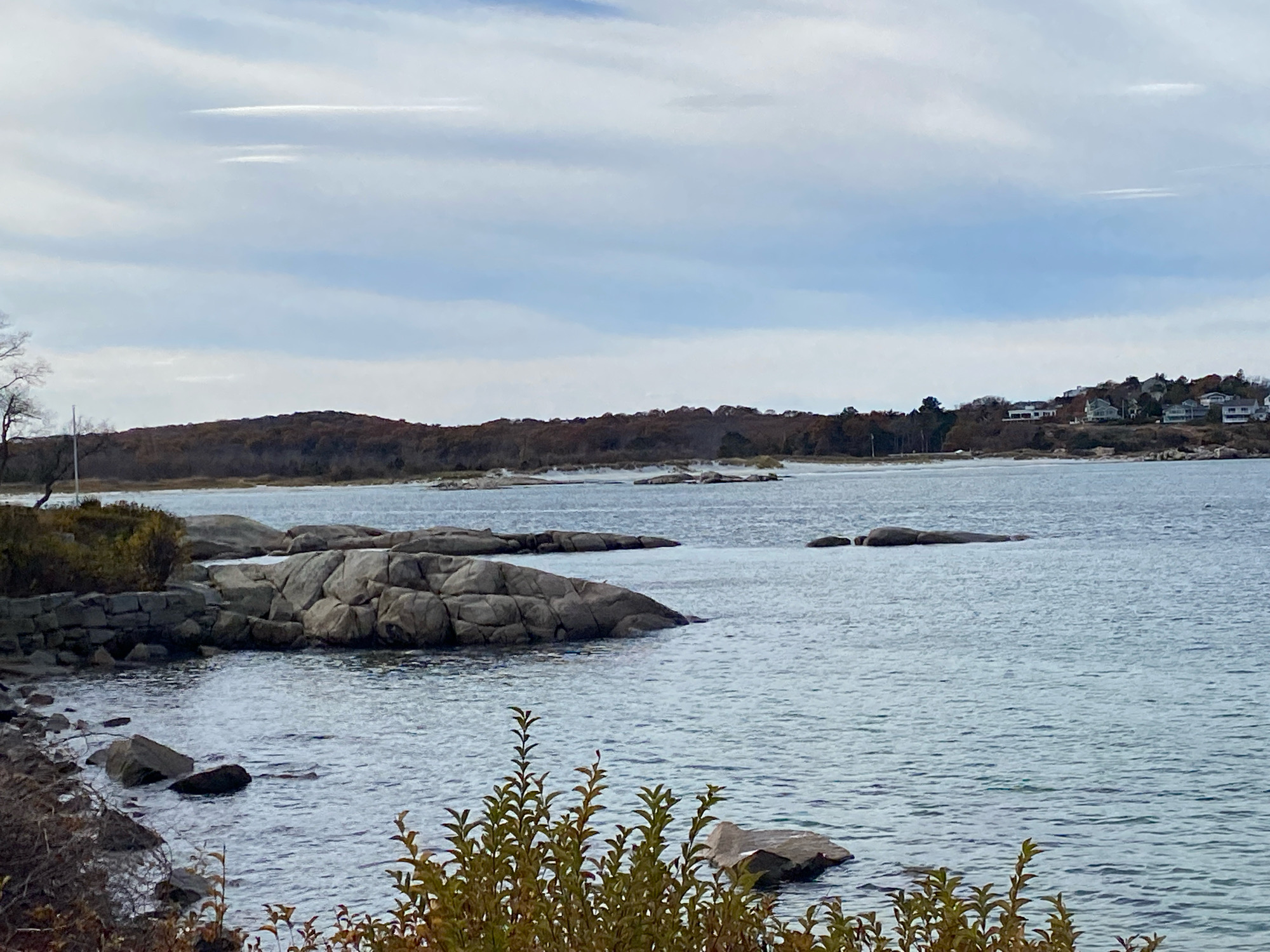 6463643fa0d1a45f397e228bbeaaecb7142a1ff7