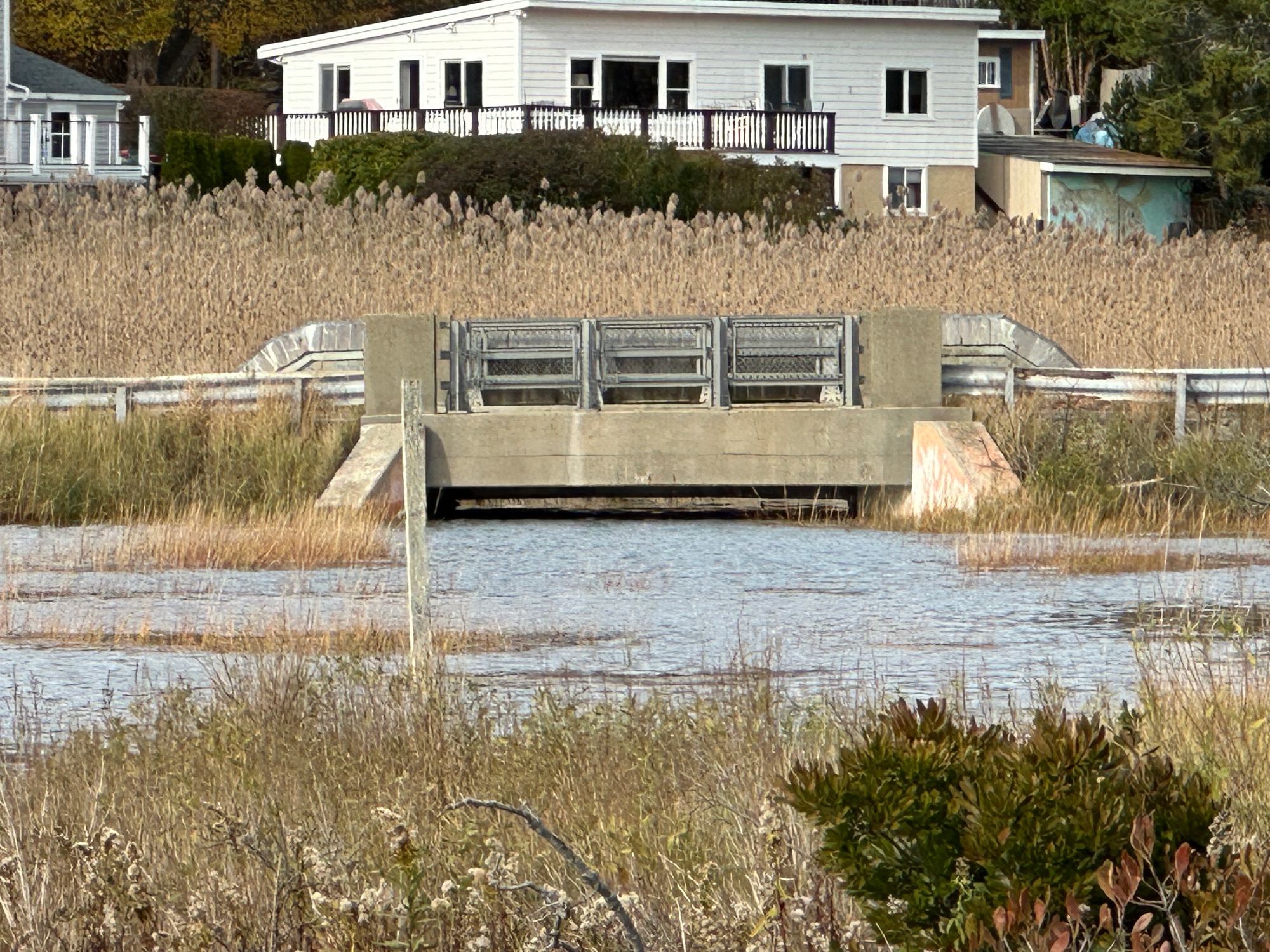 8a42516ade5ab7963db1ee46c6c327a4cc01ef20