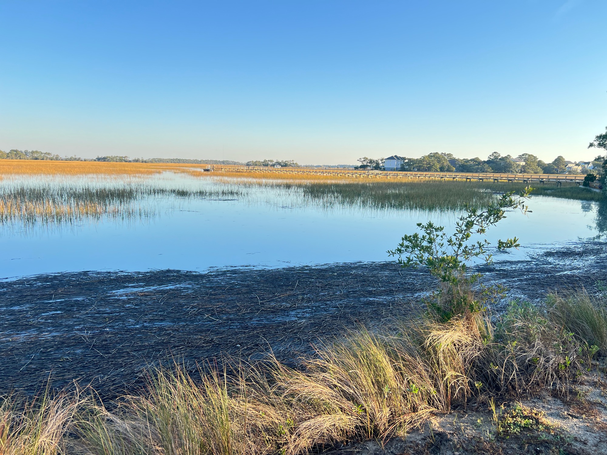 298ac9bc7d483c99776fc59529ae6430517f4d30