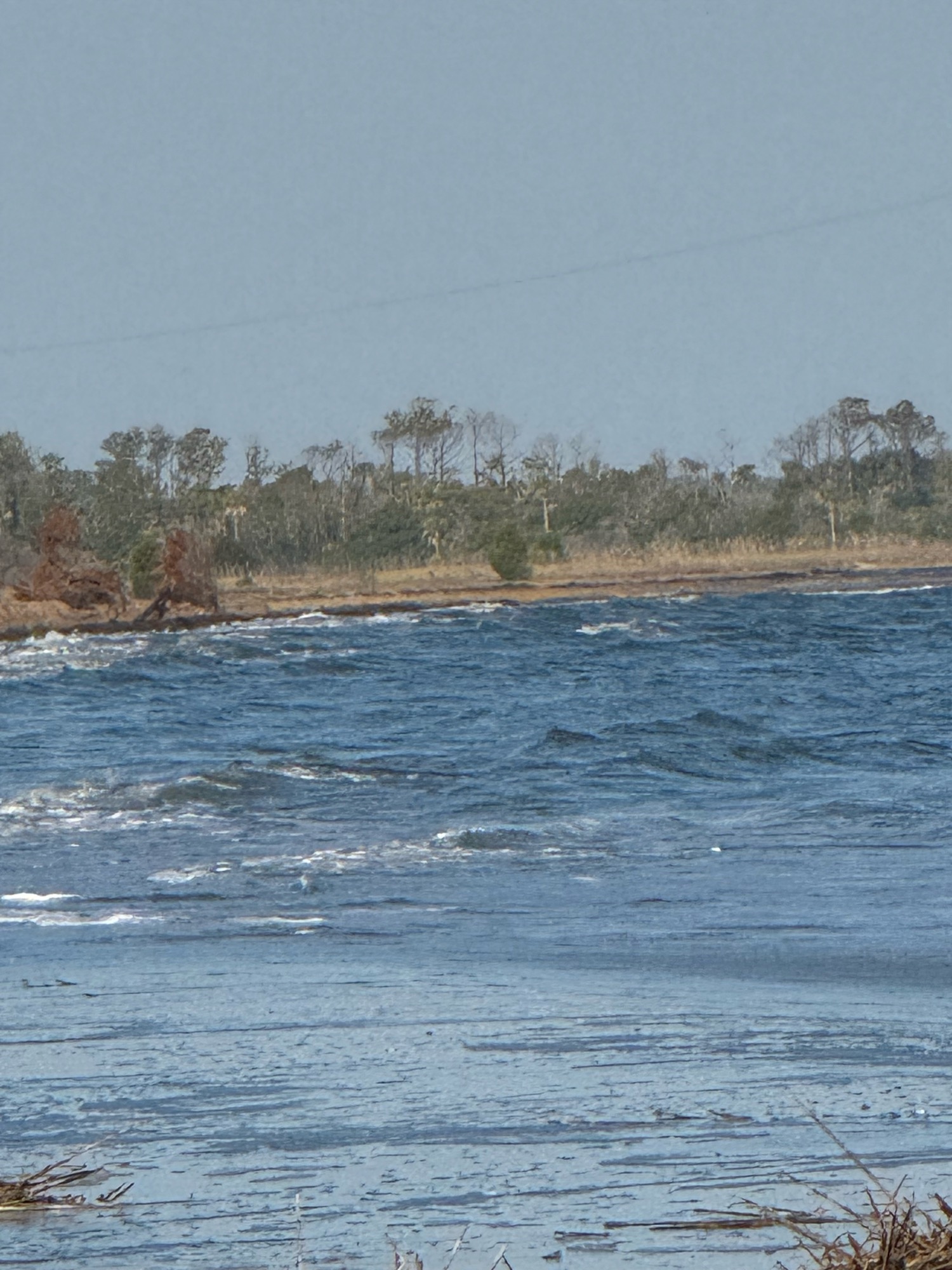 f894e11ebd56dace62e31fe8da1e1aa3f665aeaf