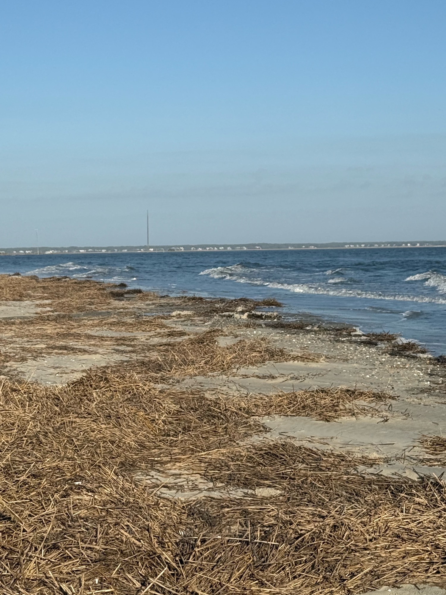 573f348b2fea0339d47507173072dcacbf73c29e