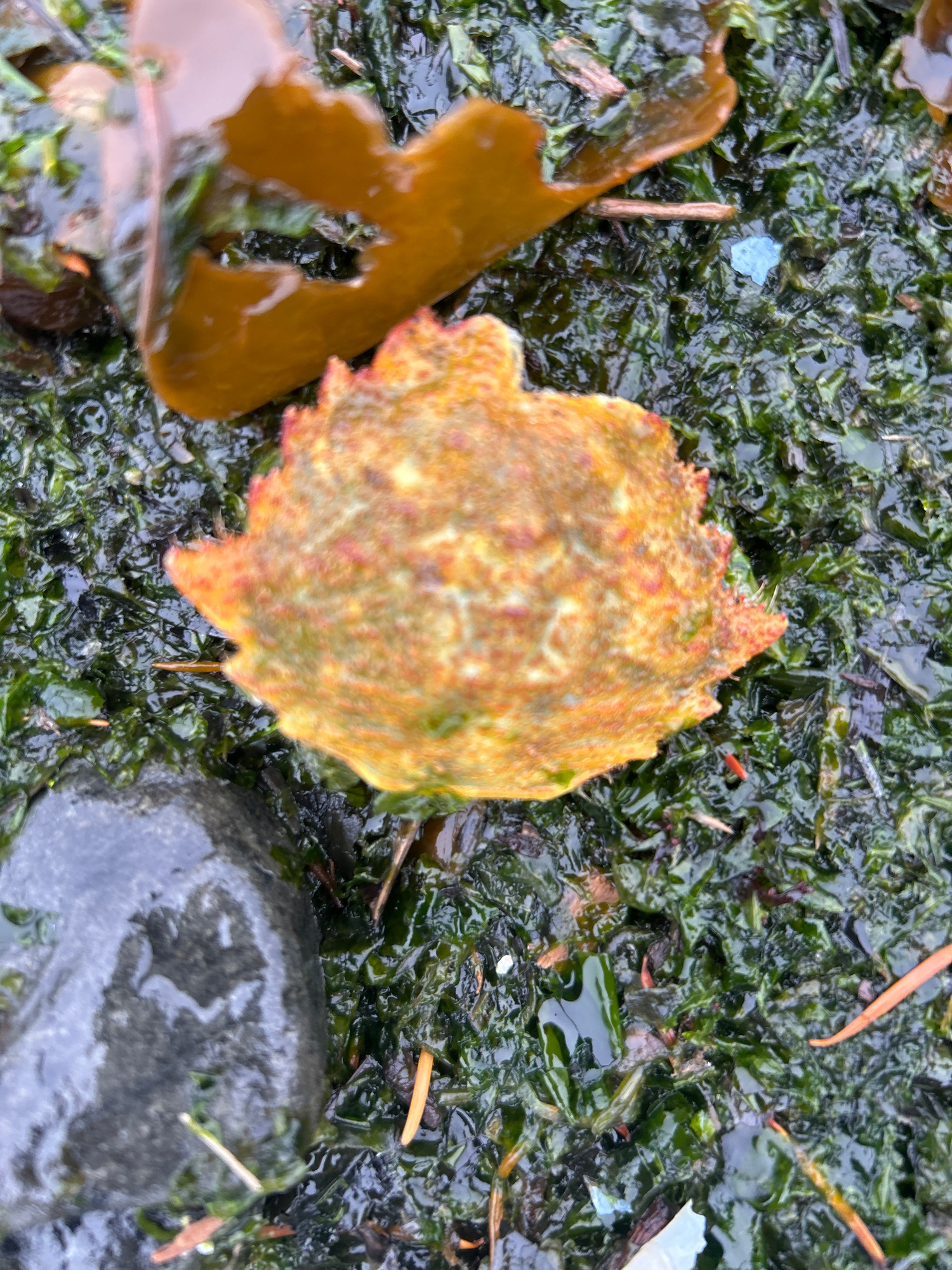 c2ec4917667a0e331751b743bd685bea792ad50d