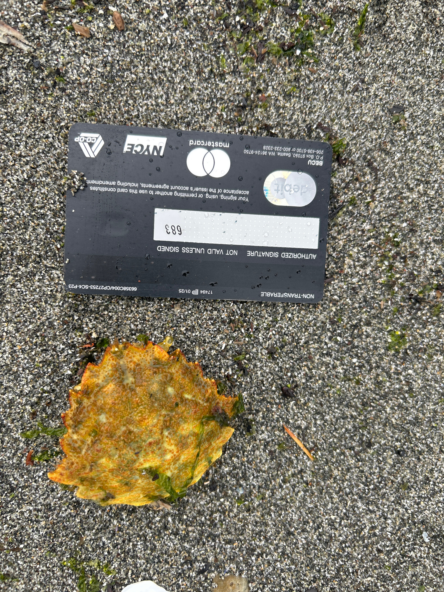 8baecc2e01a022d3e470ca8fd7880138651cf6d1