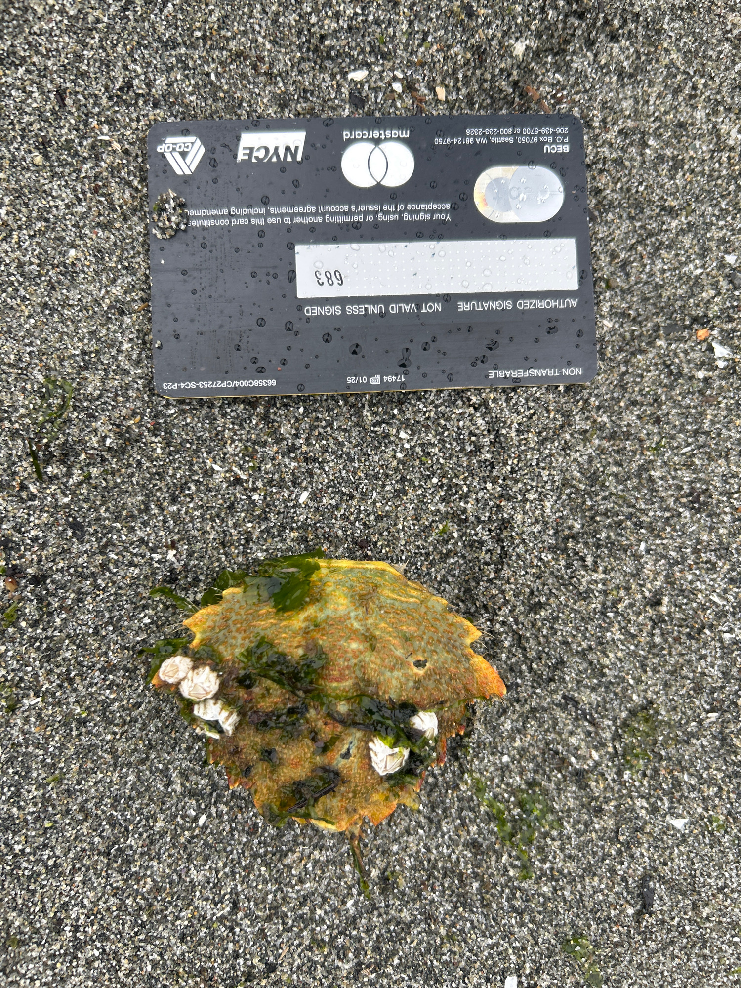 1997421566f405d1e50b57755a12775b117f6682