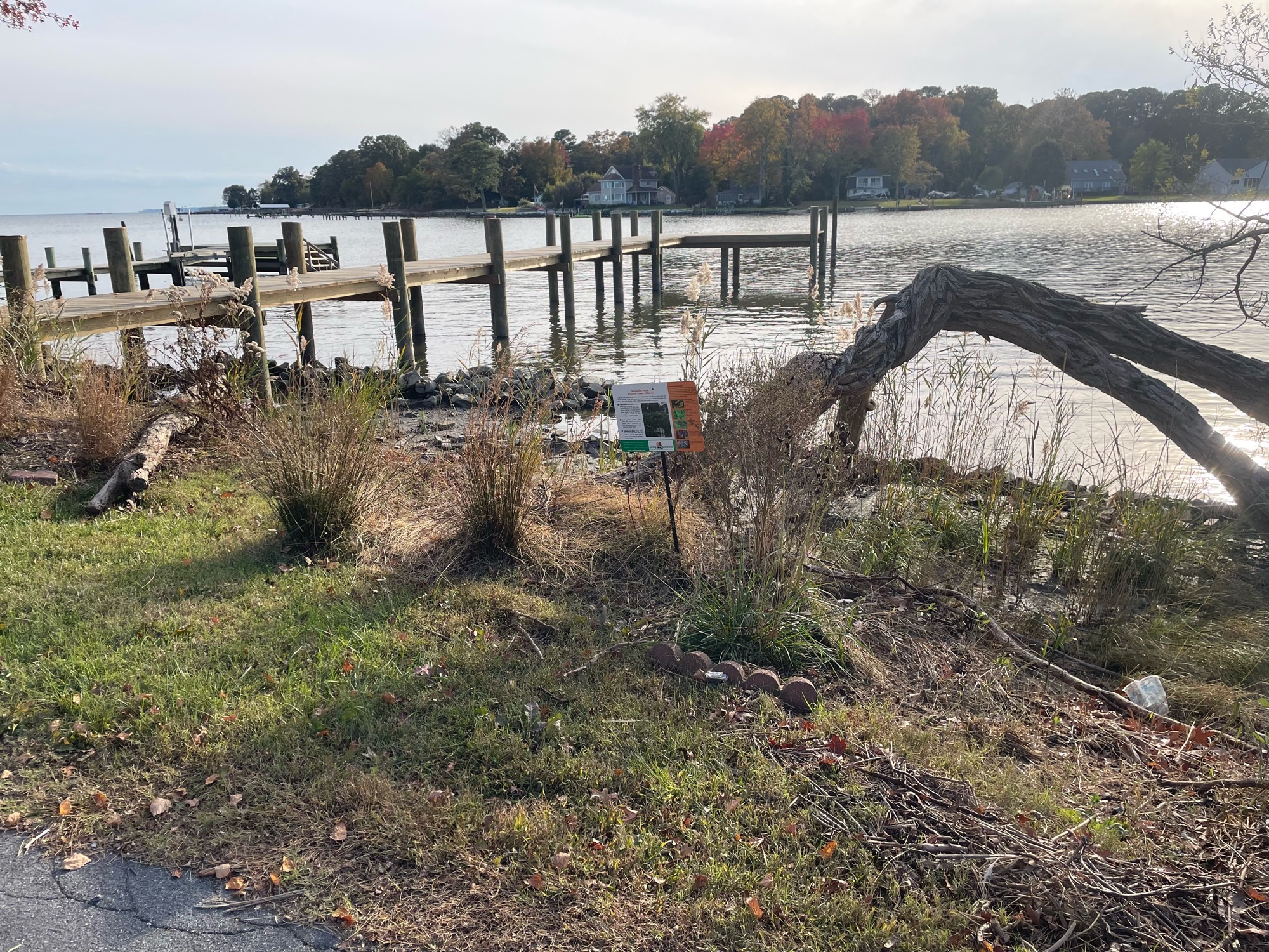 547c1a769f5dcf6d901960b4129fa6f466356fdb