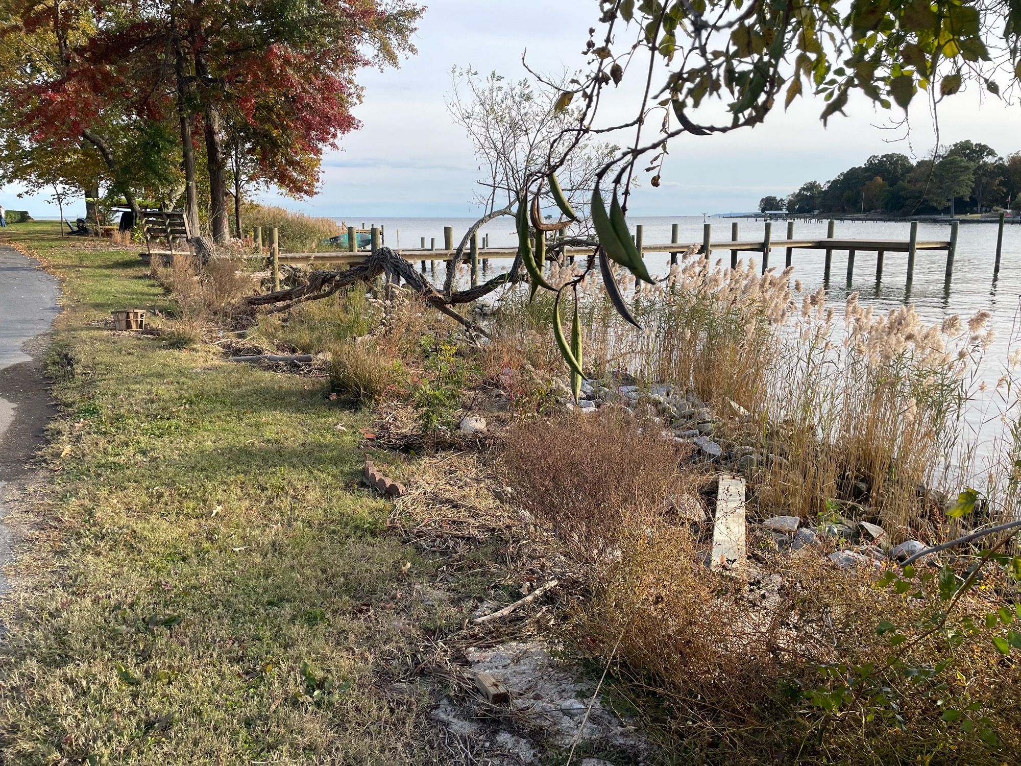 7dbb7289ecdc885a8a4e27e7a0cf1ba718e3b4f2