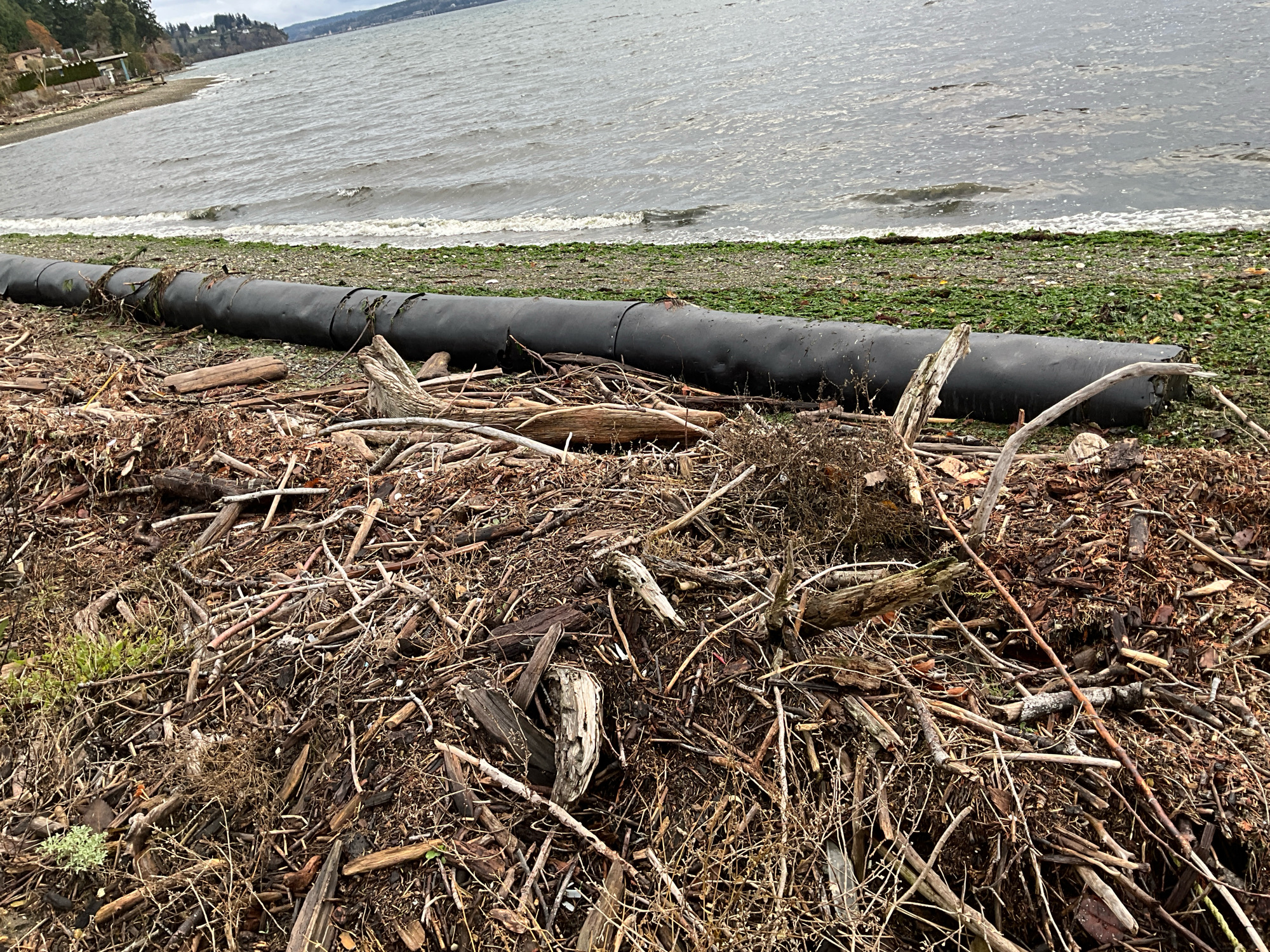 f92b98c8aaef9121811bf7dd26b5ddc182a5aaf7