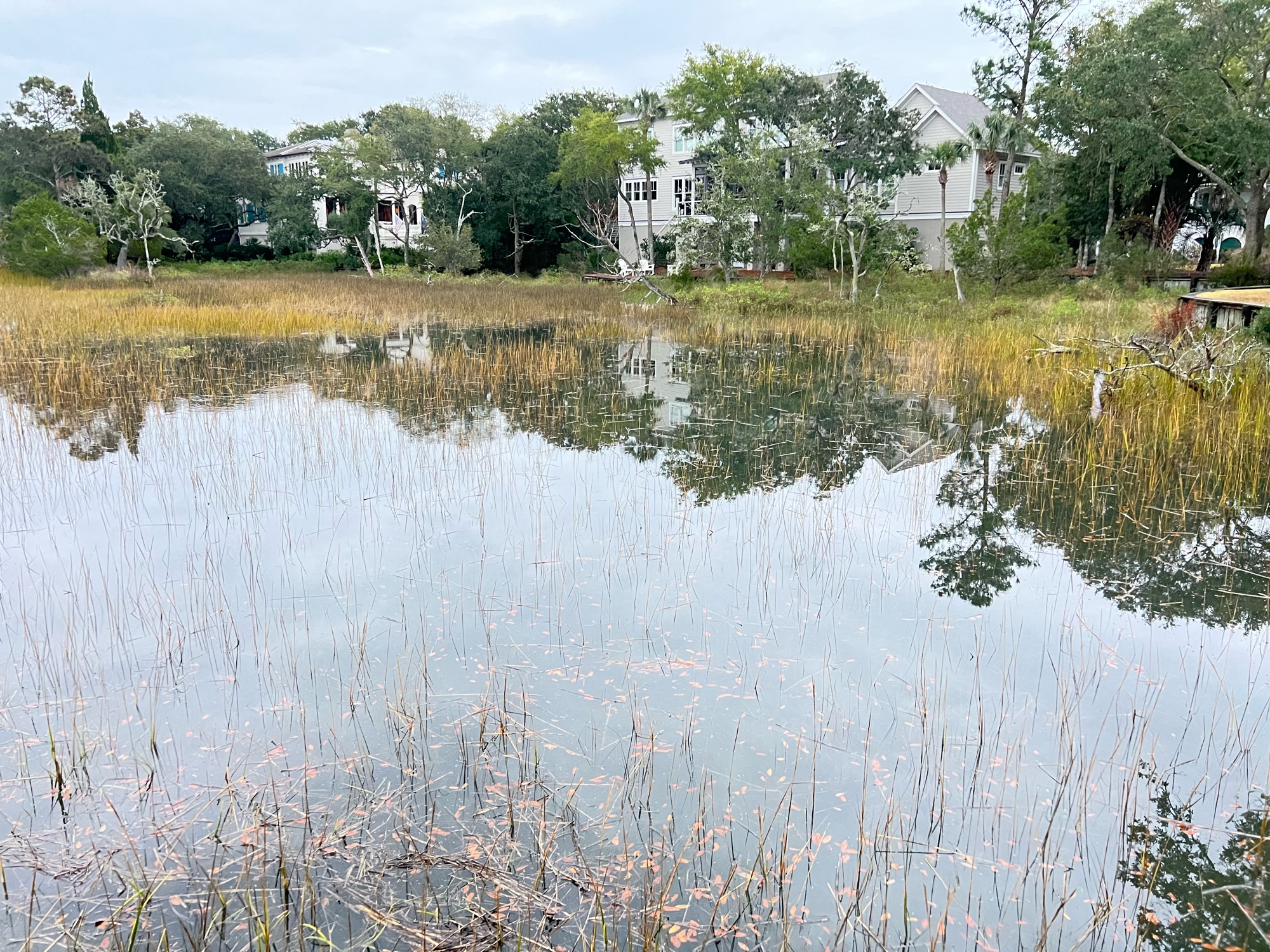 177b6fc33f94ecd312258cb59c10ad3b19503767