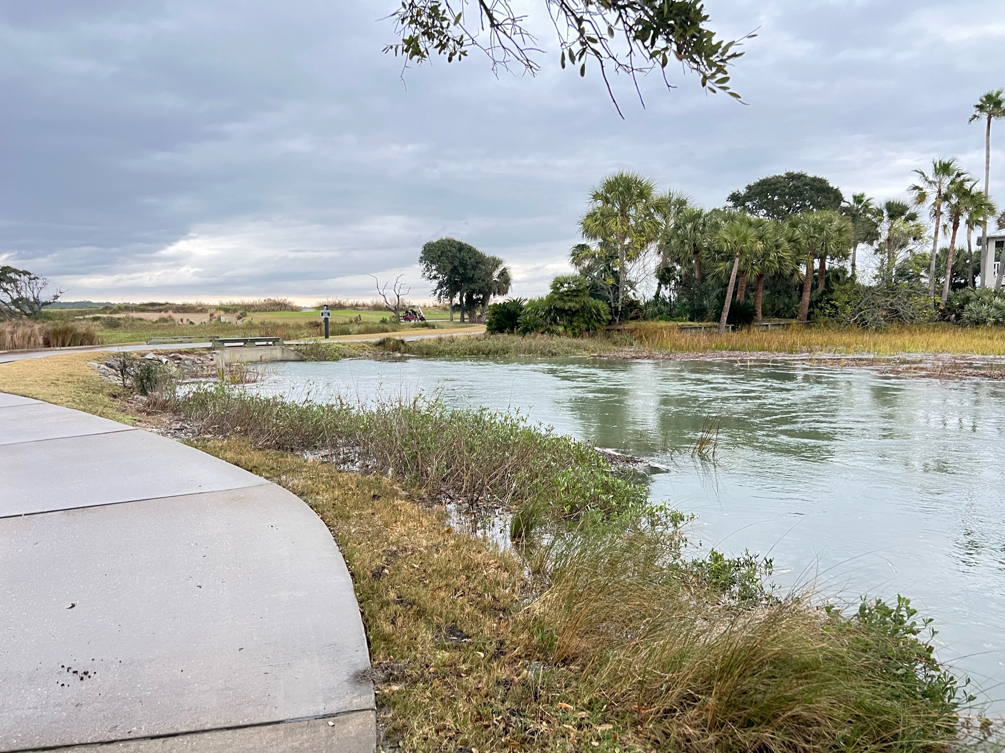 ae4ee7460a25faf5d94d81e79e426b8043f8ae34