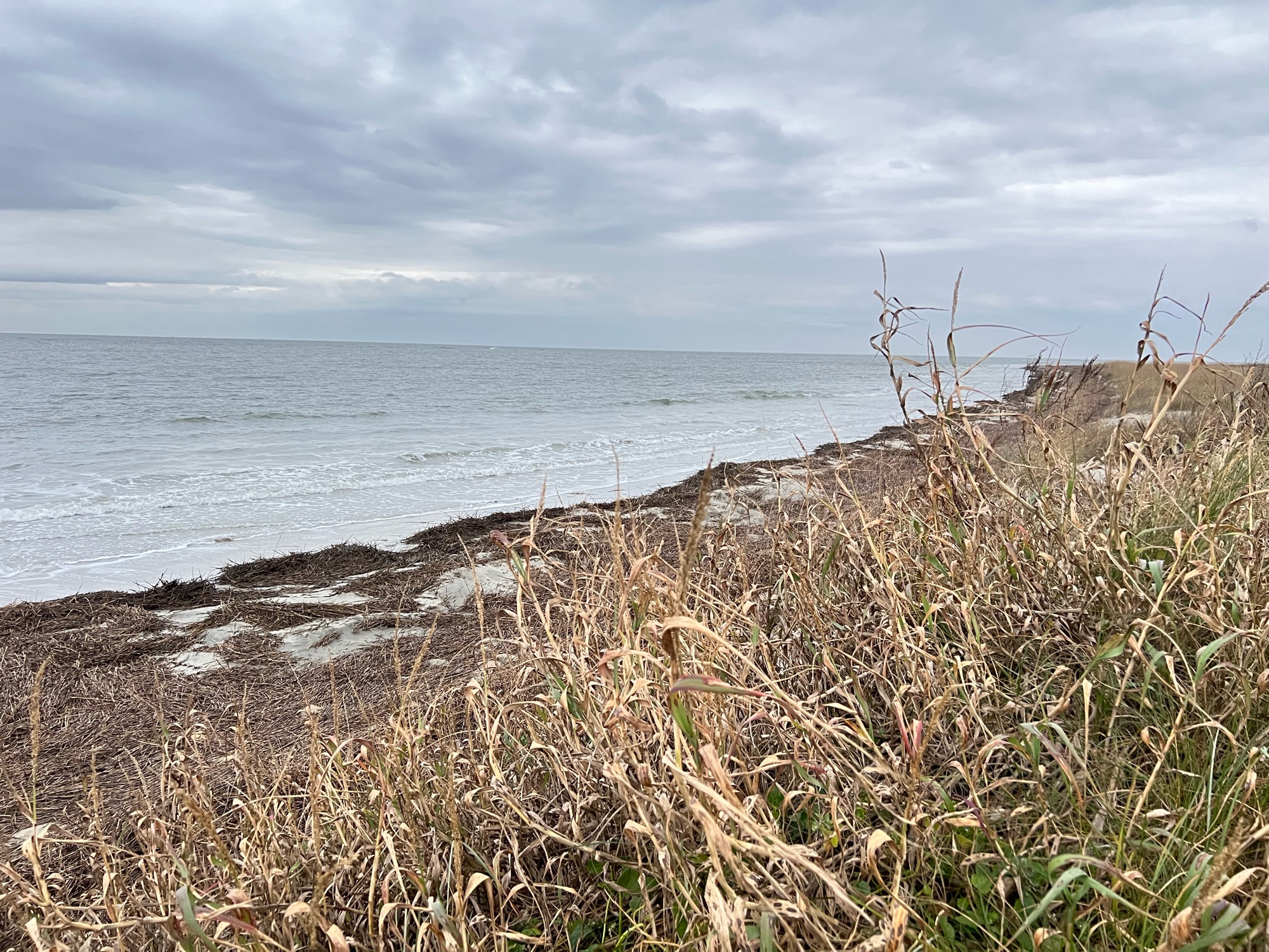 83e5c2906db2ba25c161f3bc4a914ca31af554d9