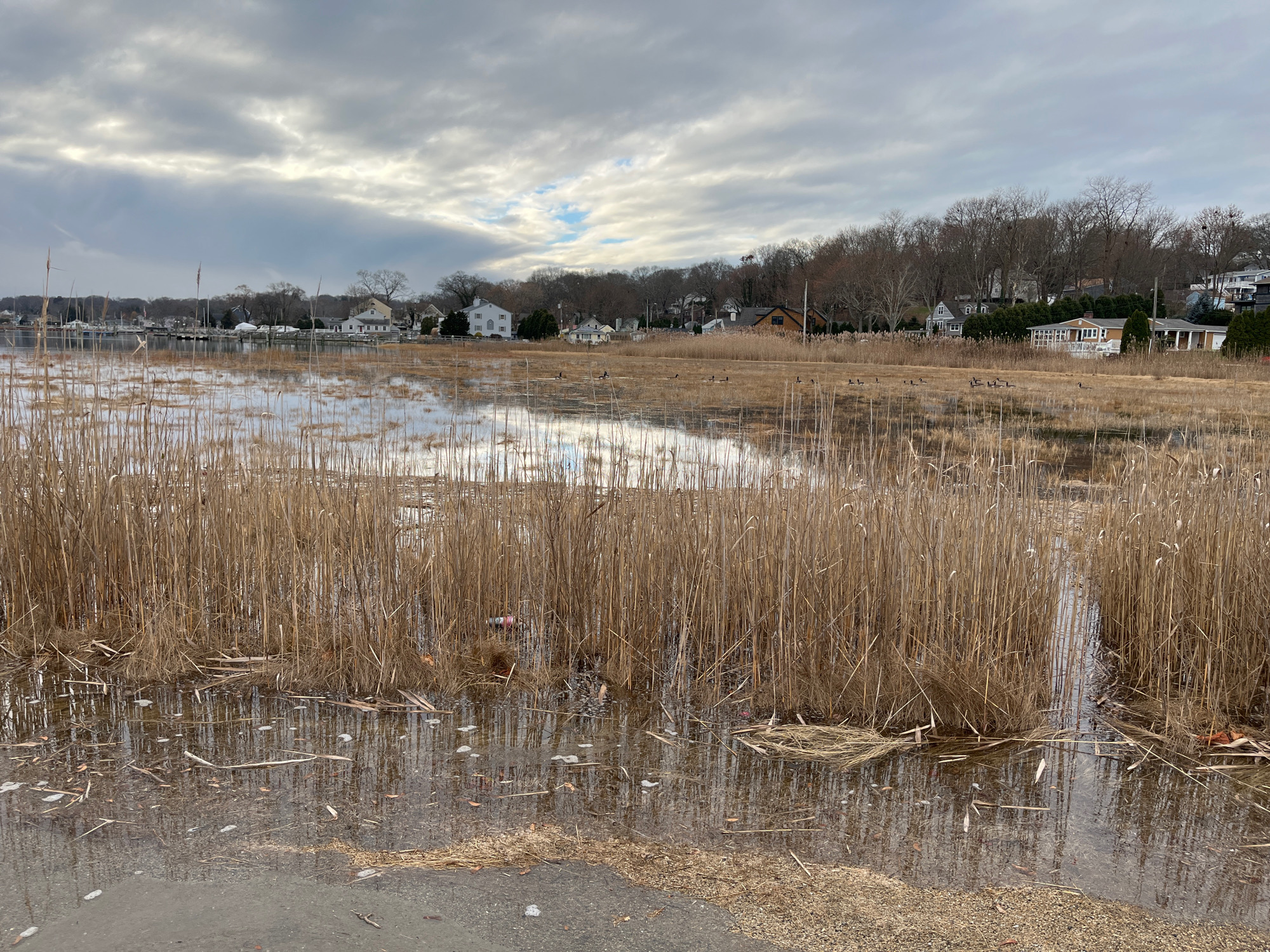 2f8842a7b627d2756ce72b1fc8ec58b8fe8ea255