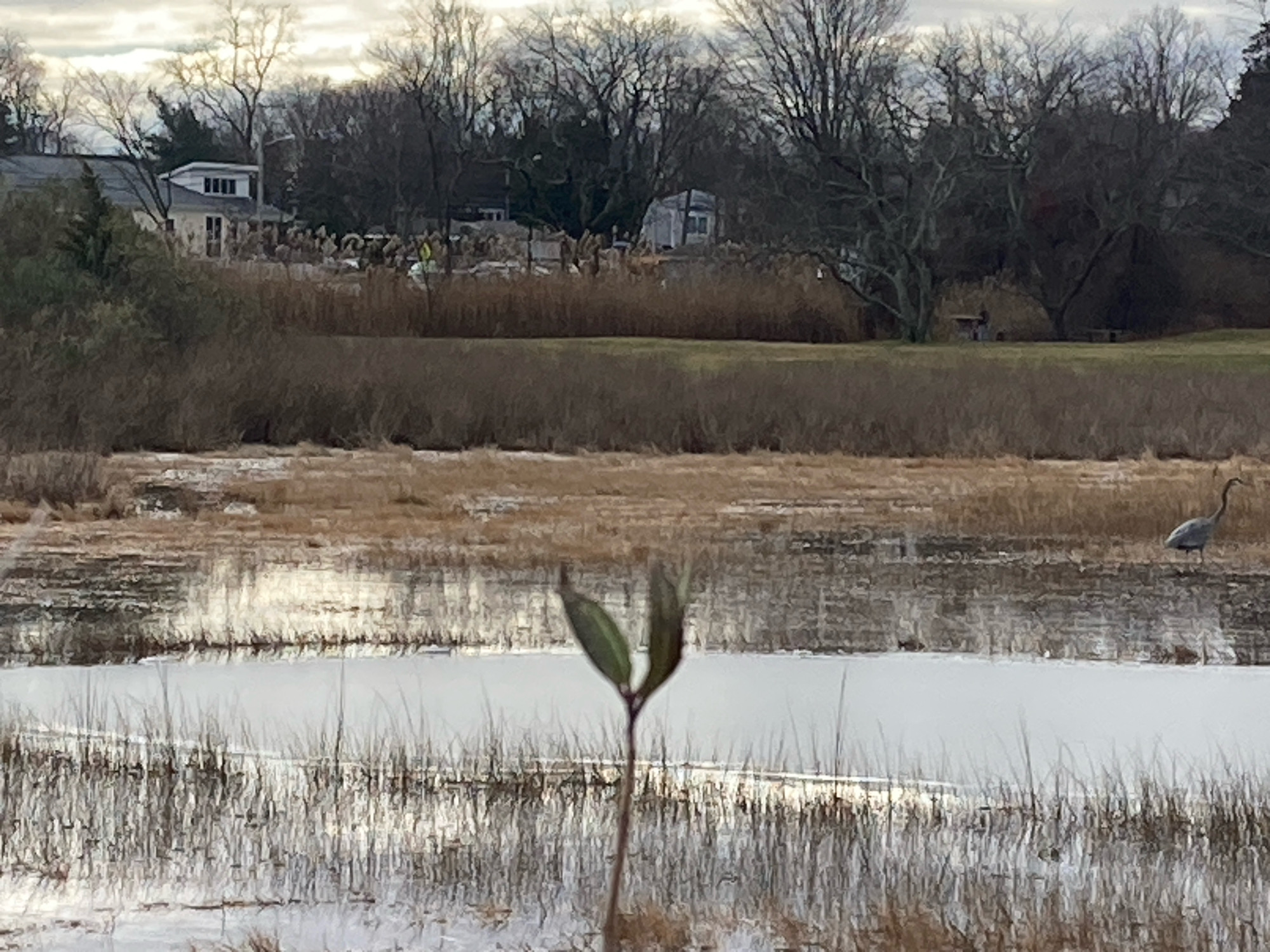 a8b62af271997083494844511a1ec0f773be2610