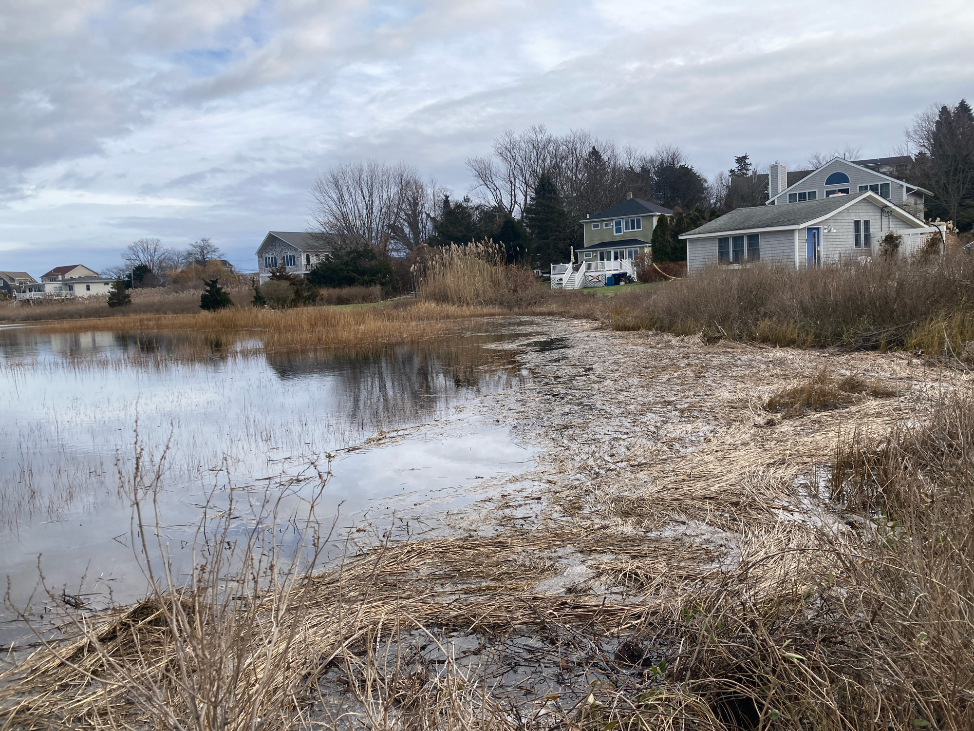 8b8fb990abc0159b0385f27ee53b1d3de84097b8