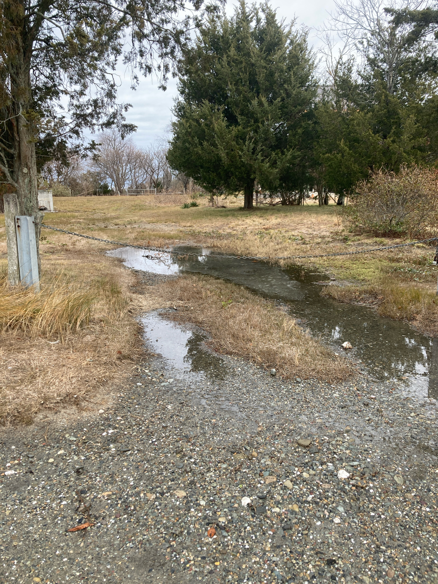 db166583c44cb65ee70a8ee6734c729a03aadbae