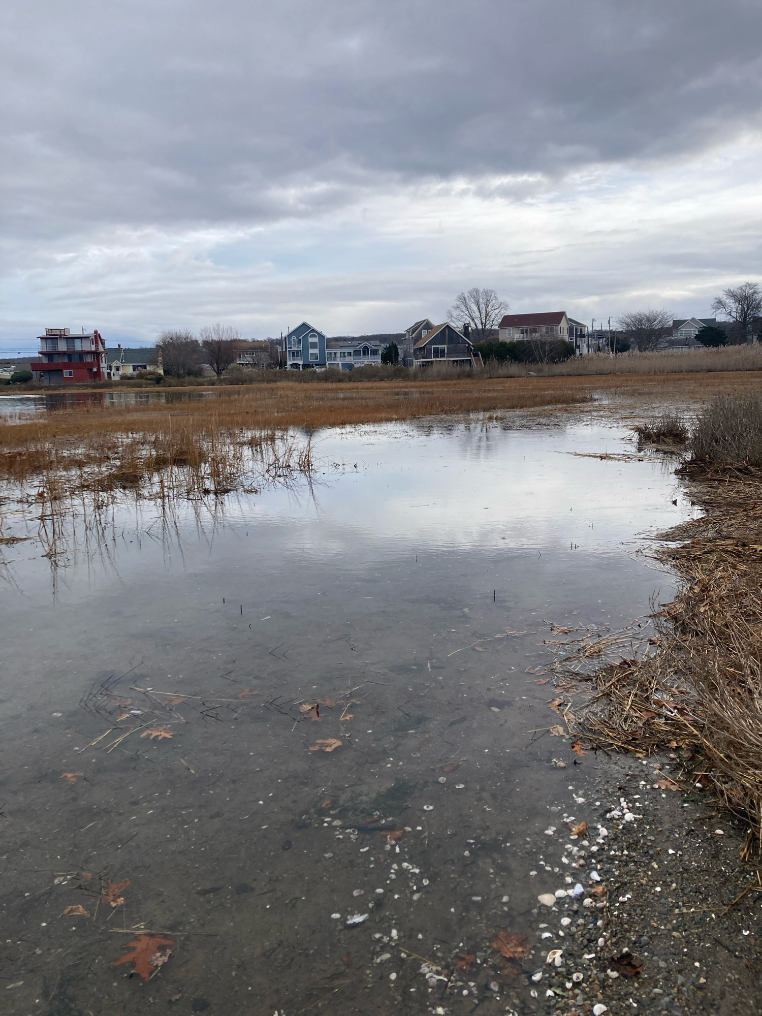 164998504156d13204c1fc578b11828d1bbed3a0