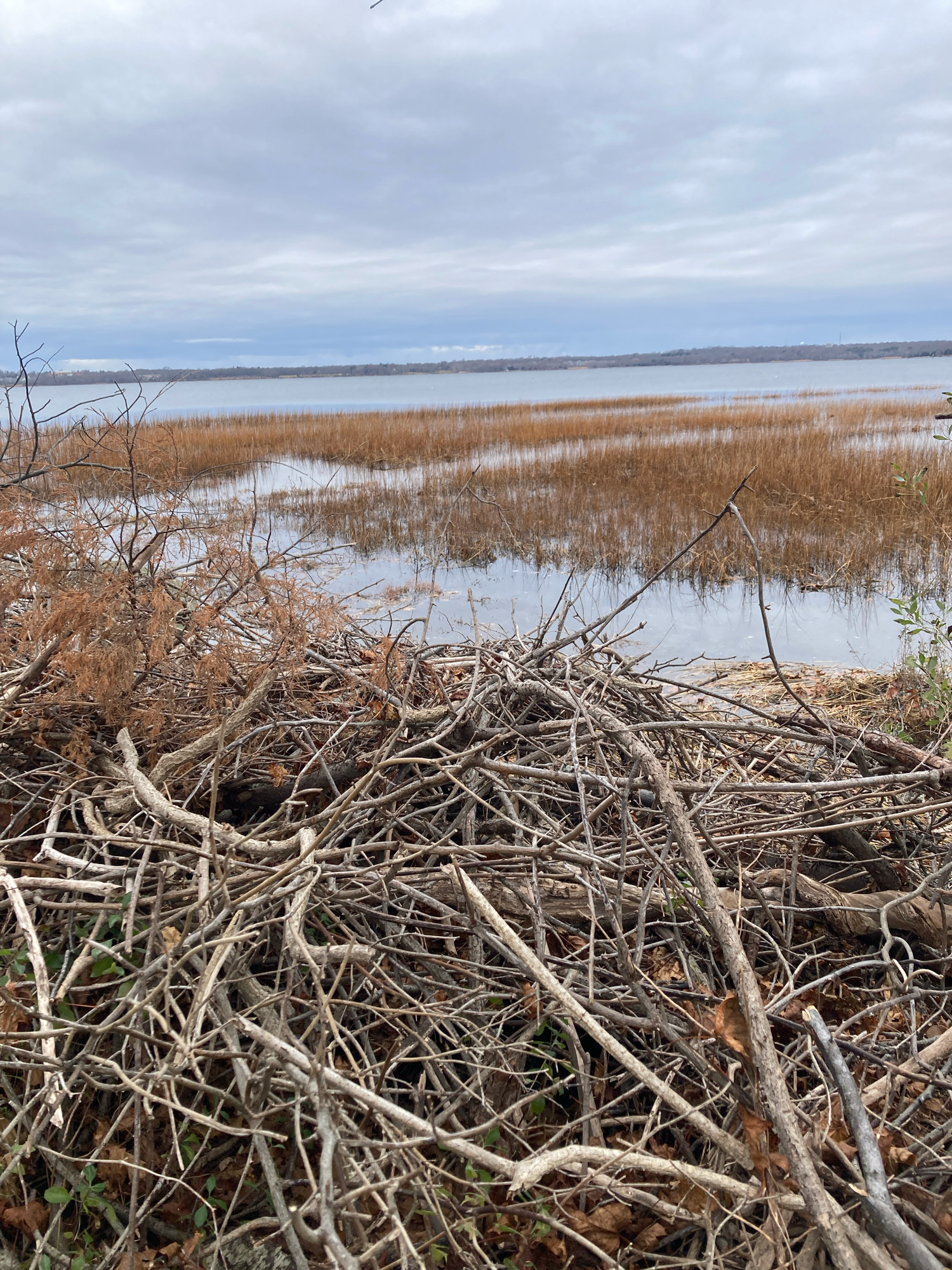 7afd01ef1fa3ce949af1c328bf88bf9c4720de19