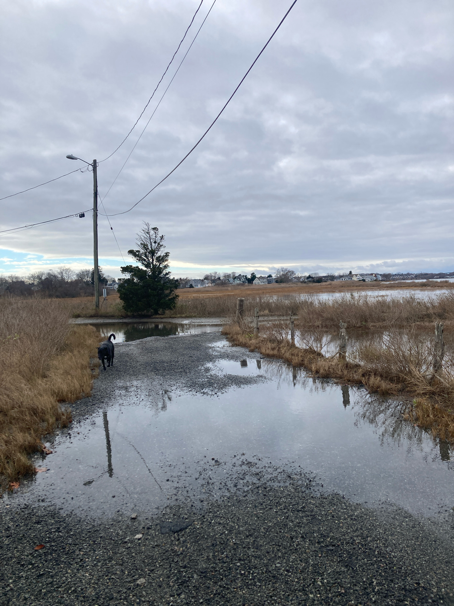 e5050ca431a6520e1b06607c2c606a9282ebc003