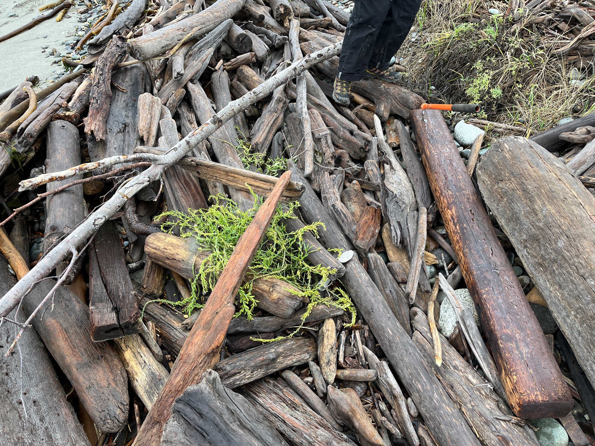 f7d16df85bbf4c5a89c0461444f29cb888981917