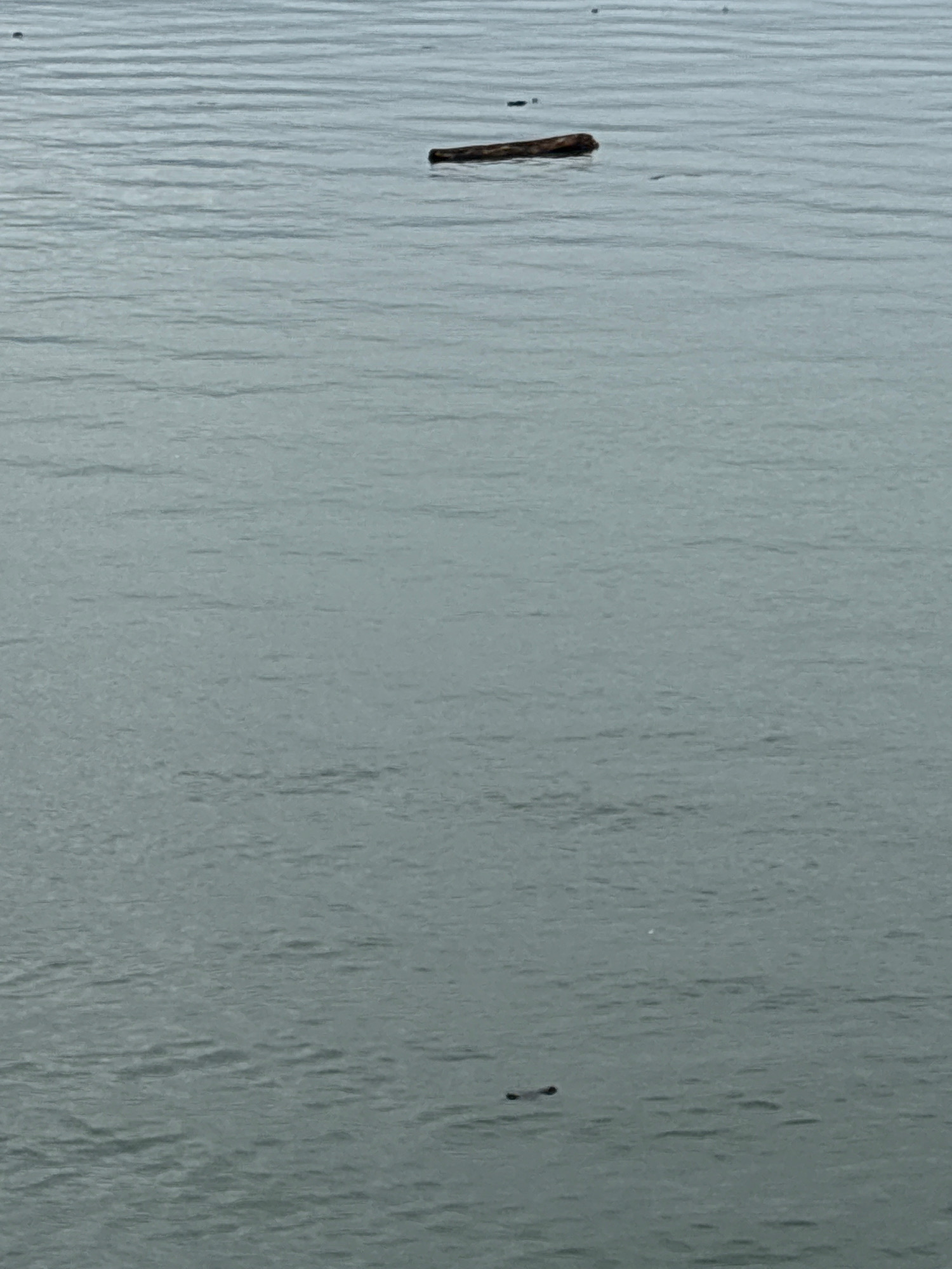 0c09c58b0ba8f4e6999ac697275311b467c4e3ae